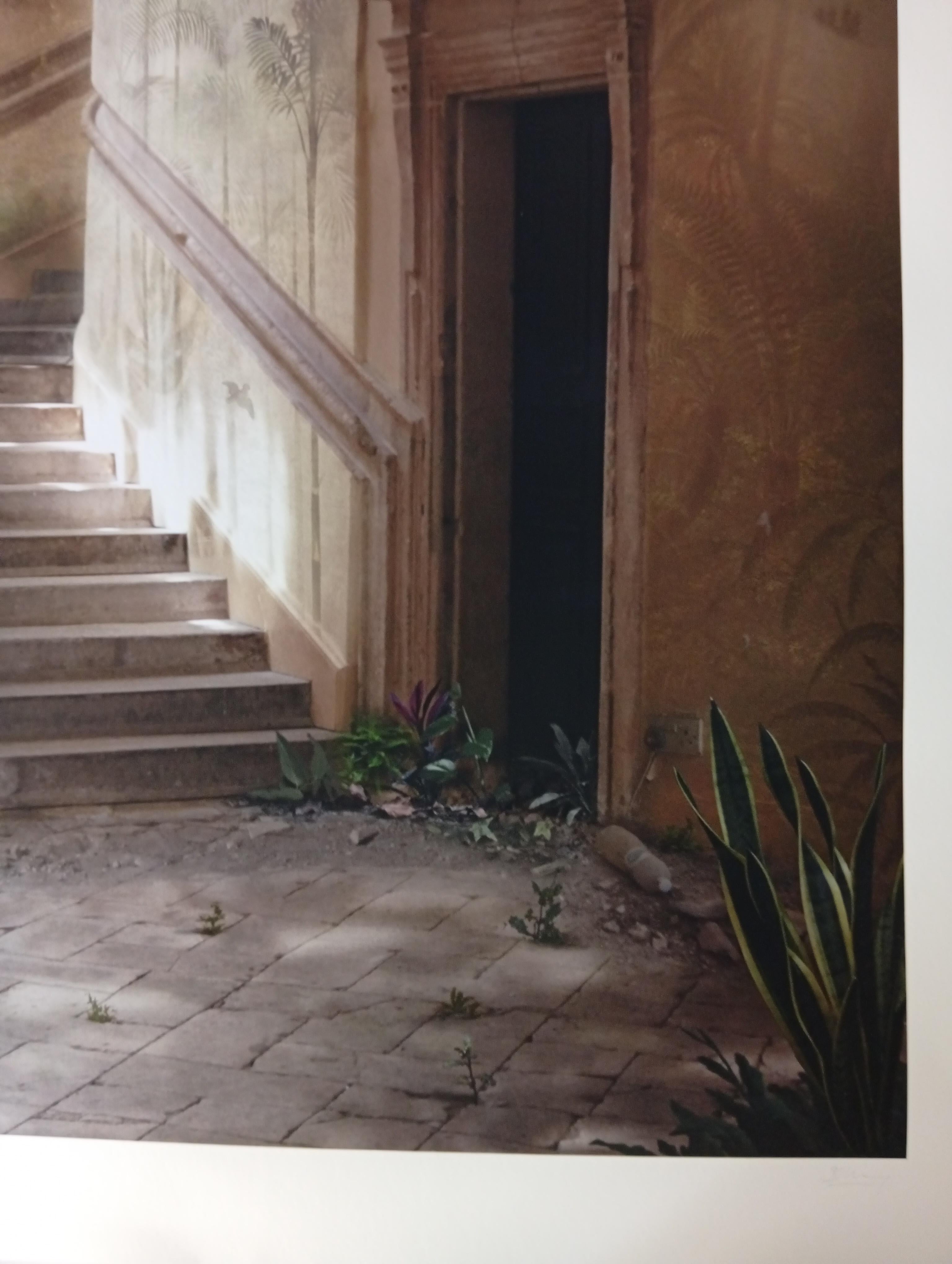 Rocaille par Suzanne Moxhay, édition limitée, scène poétique, la nature dans l'architecture en vente 8