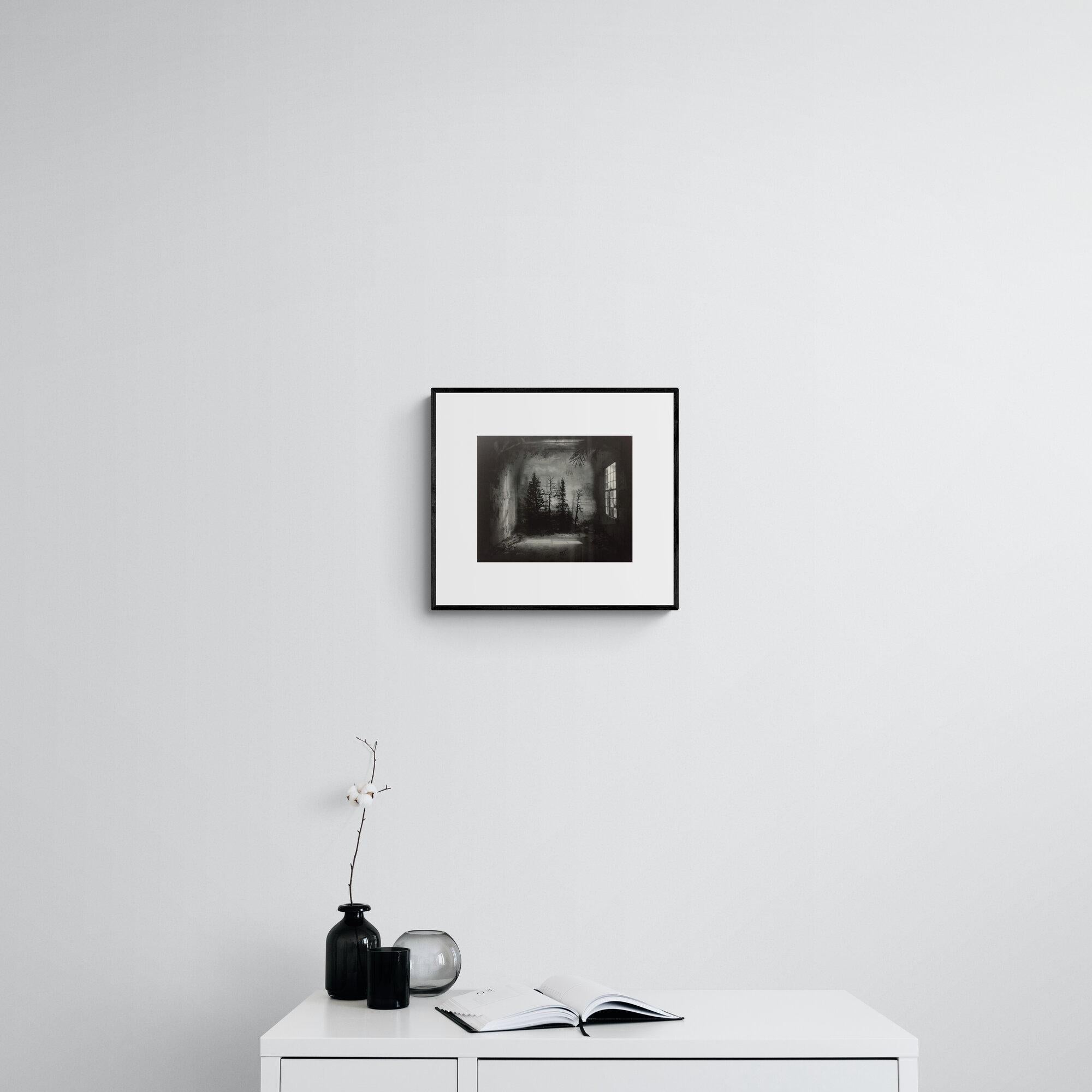 Raum mit Kiefern – Fotogravur-Radierung, limitierte Auflage von Suzanne Moxhay im Angebot 1