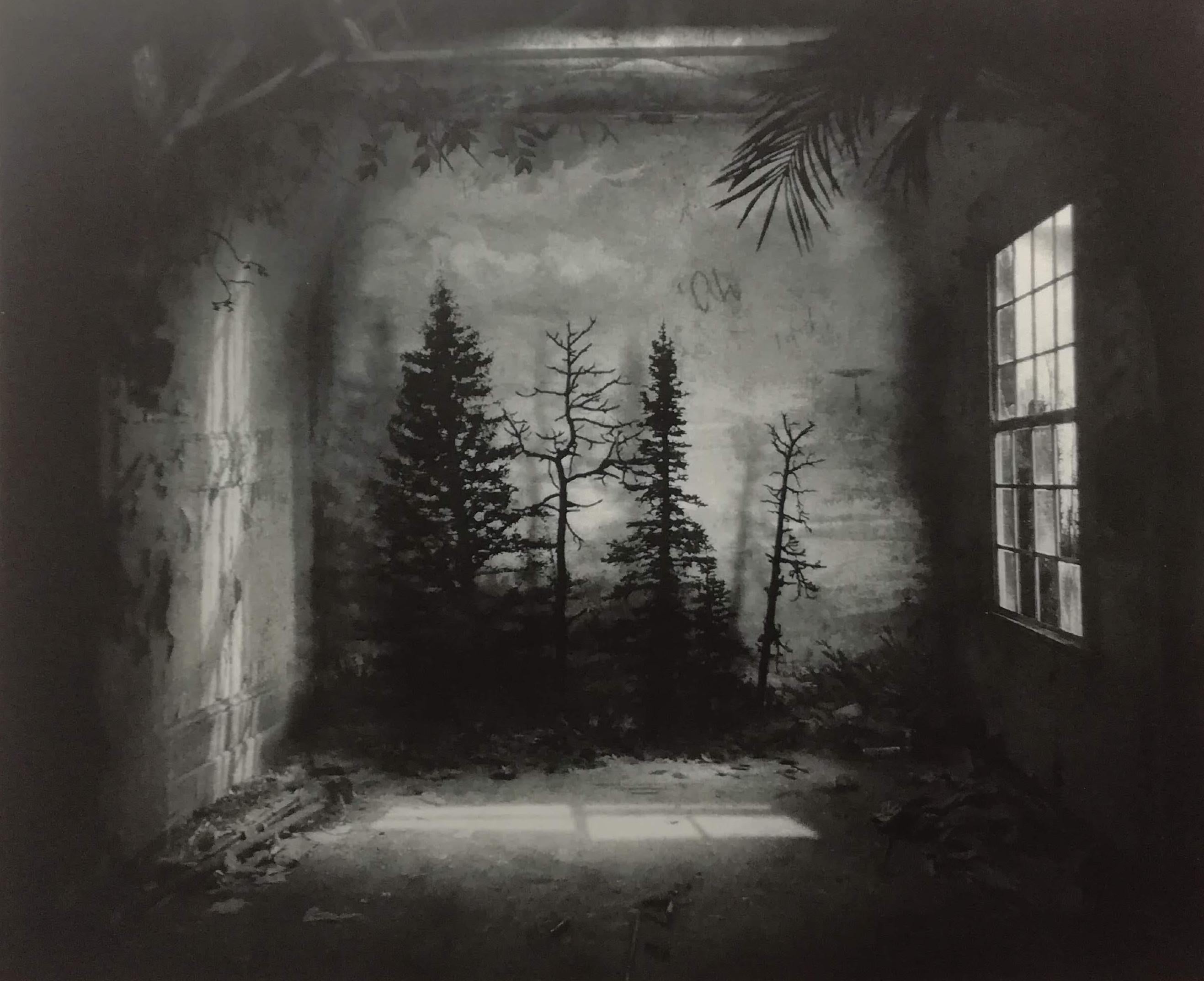 Room with Pines - Photogravure Etching Limited Edition By Suzanne Moxhay For Sale 2