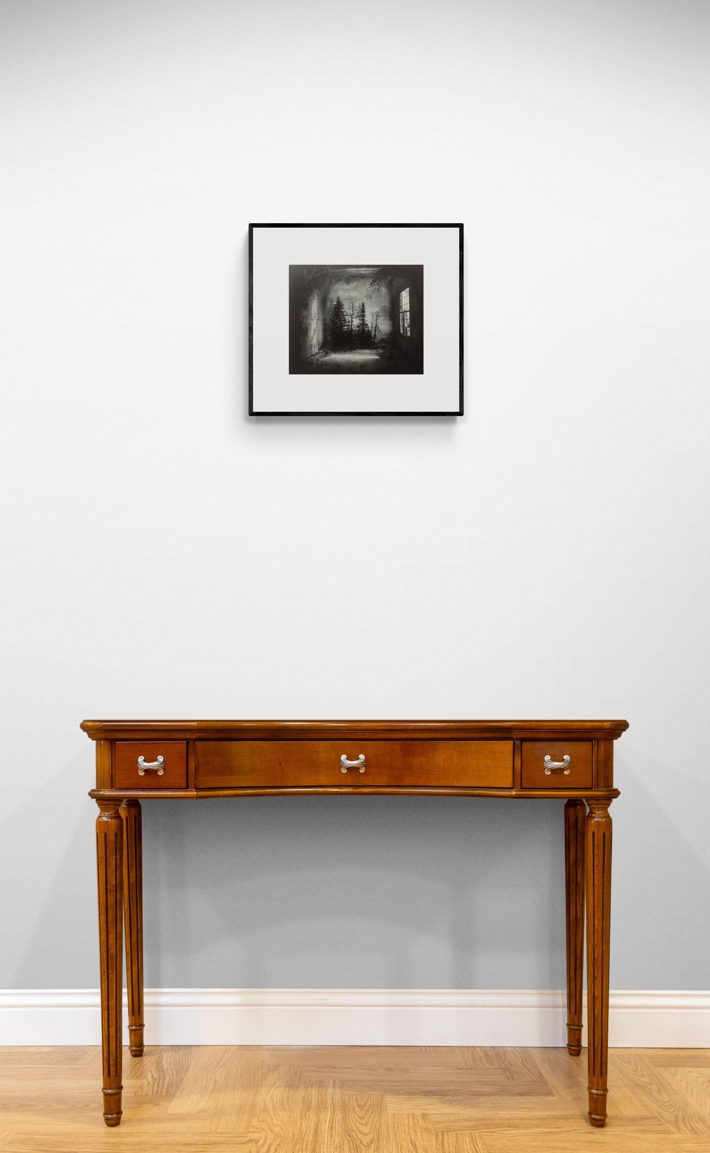Raum mit Kiefern – Fotogravur-Radierung, limitierte Auflage von Suzanne Moxhay im Angebot 3