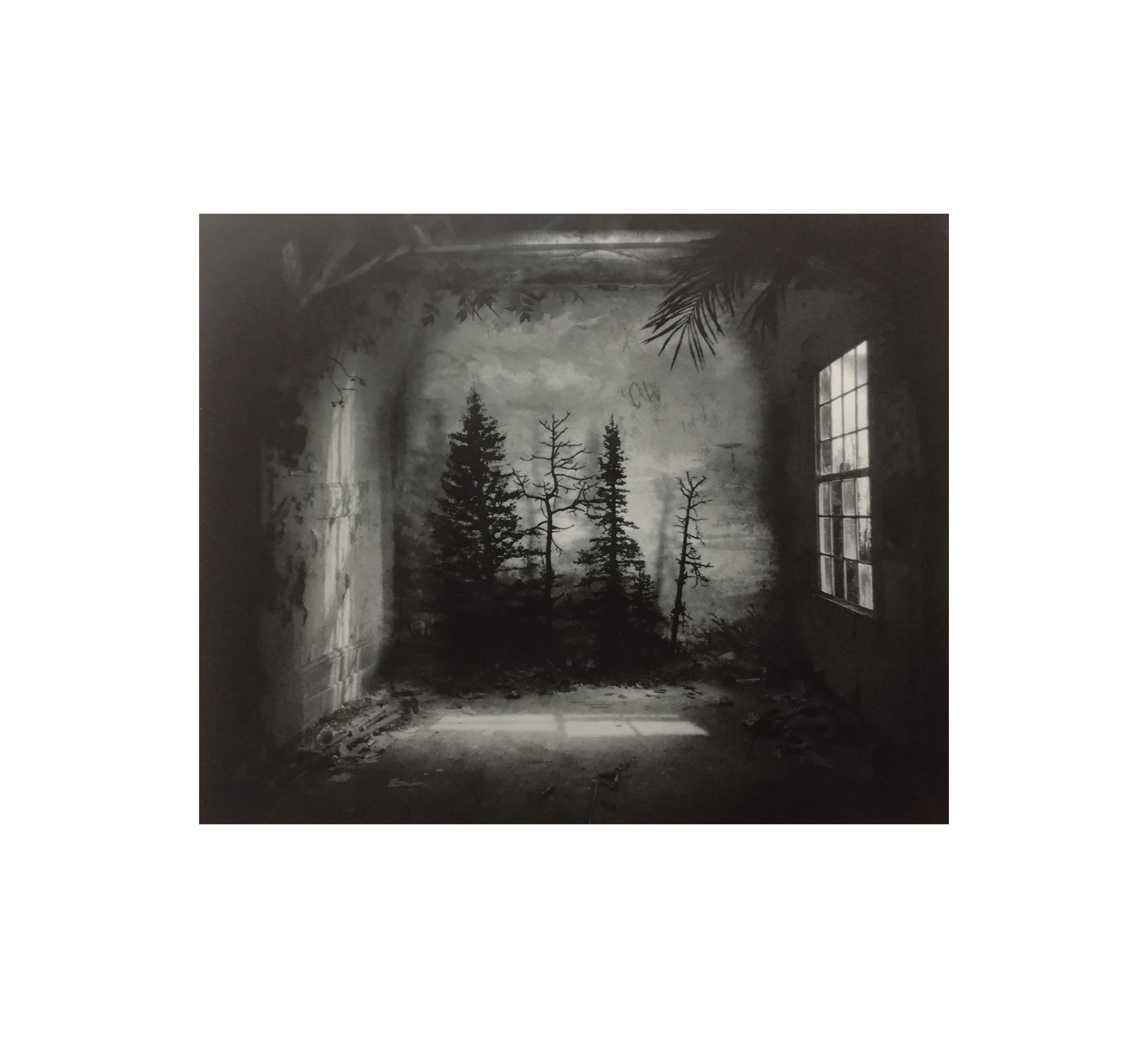 Photopolymer Photogravure Etching on Fine Art paper. Interior Photography, Romantic, Abandoned place, Nature, Trees
Work Title : "Room with Pines"
Artist : Suzanne Moxhay
The work is signed and numbered, delivred with certificate of authenticity