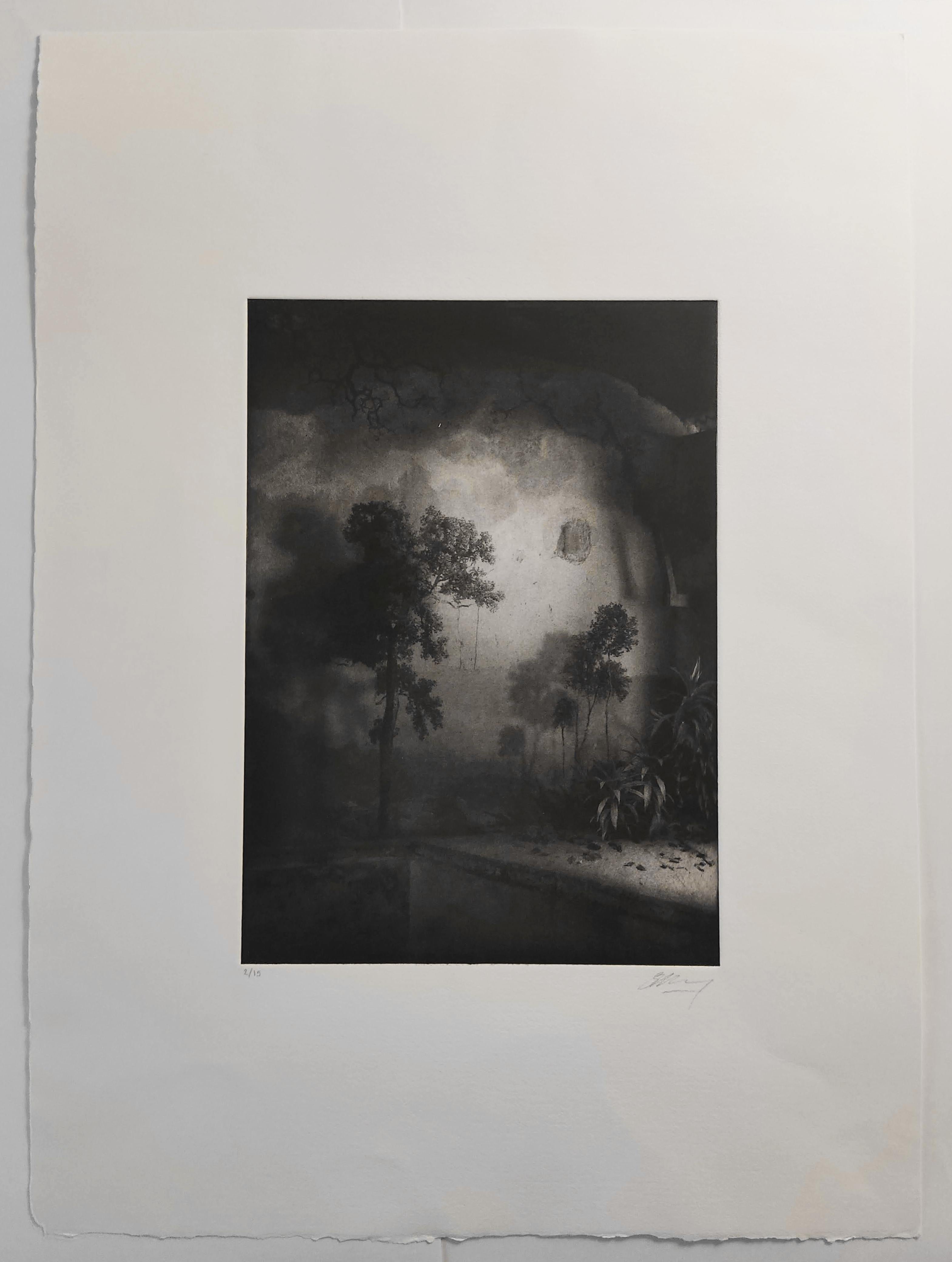 Room with Trees and Vegetation, Interior Photography, Photomontage, Etching - Black Black and White Photograph by Suzanne Moxhay