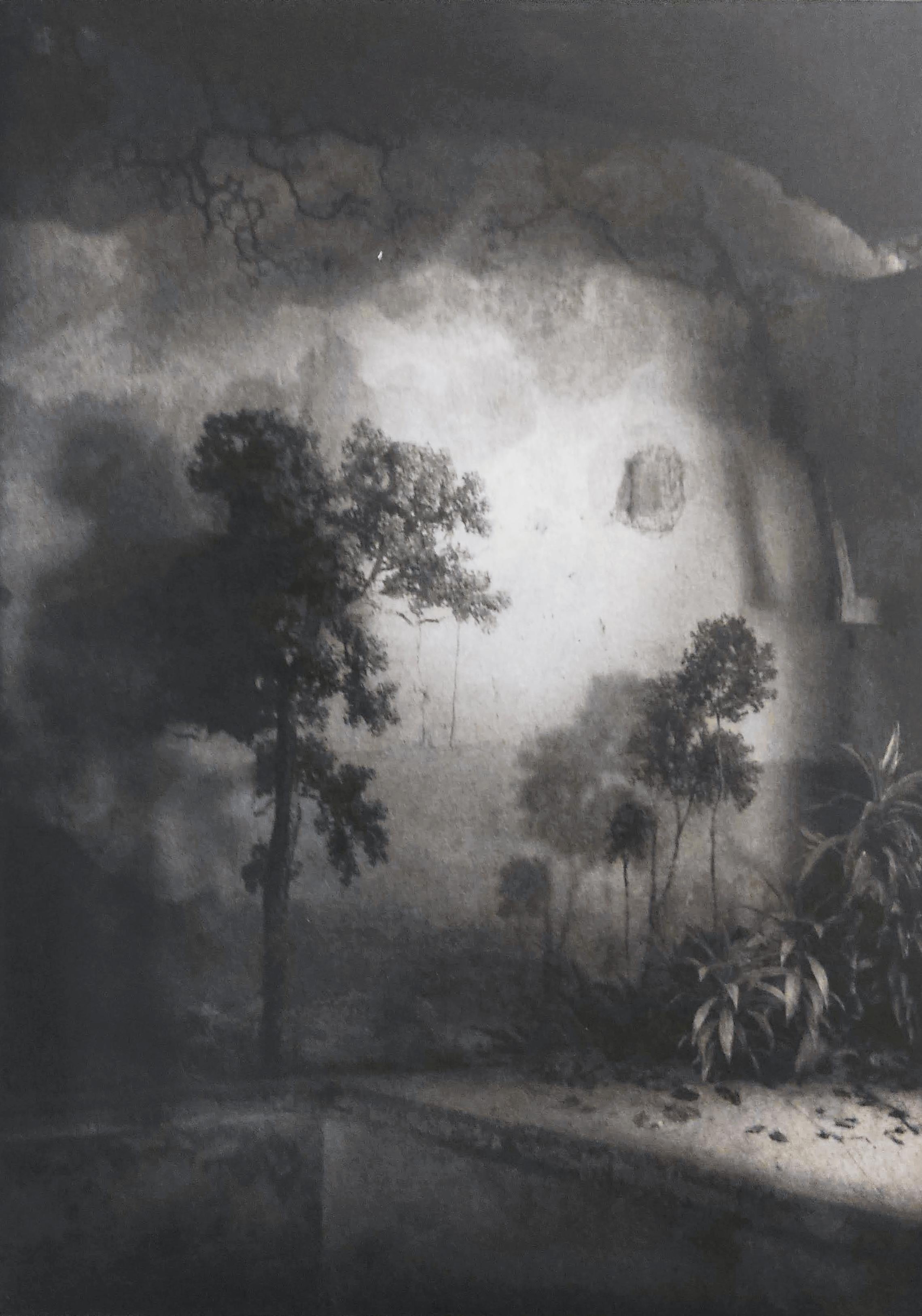 Suzanne Moxhay Black and White Photograph - Room with Trees and Vegetation, Interior Photography, Photomontage, Etching