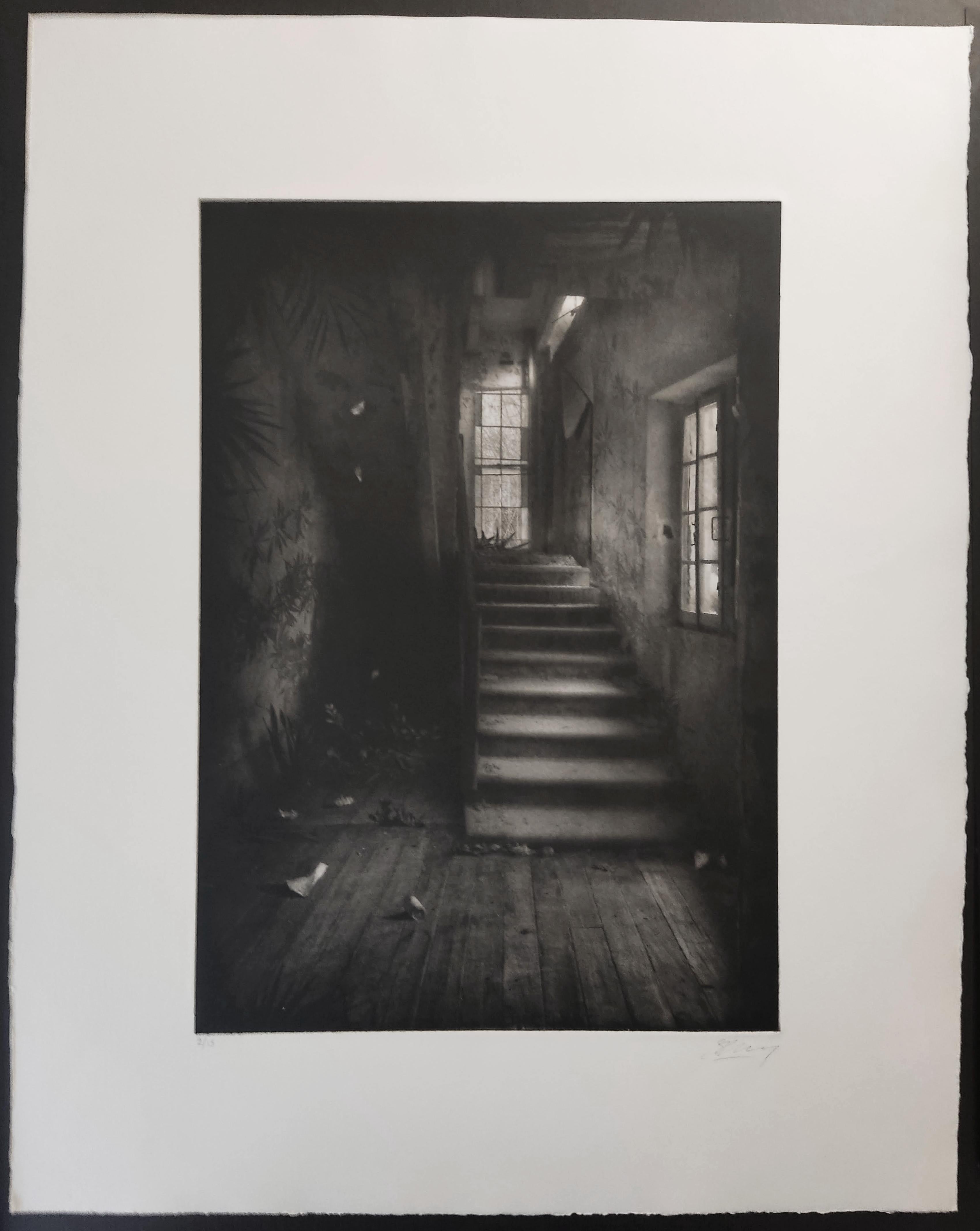 Stairway with Vegetation, Interior Staircase, Photomontage, Gravure, Etching - Photograph by Suzanne Moxhay