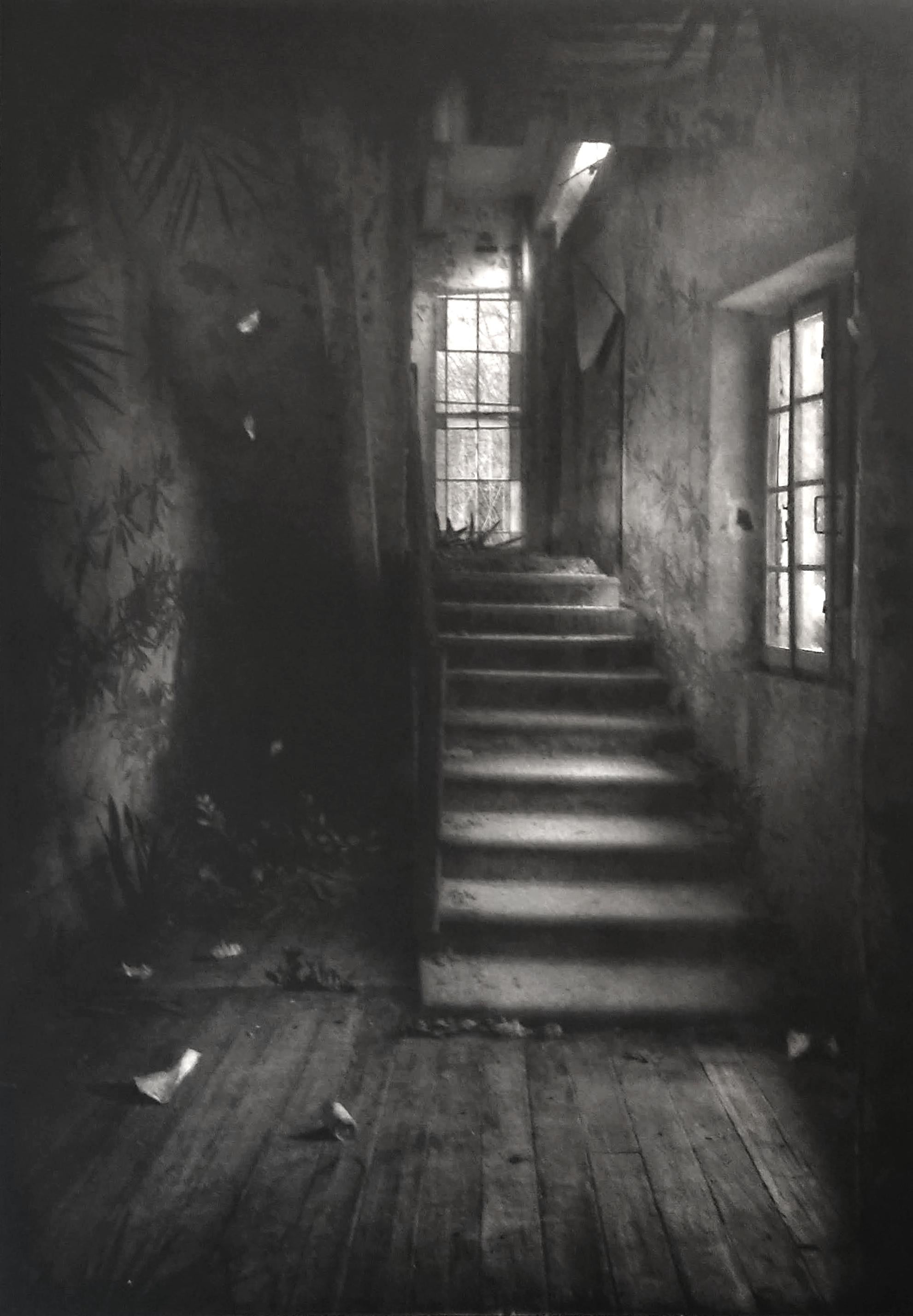 Suzanne Moxhay Black and White Photograph – Stairway mit Vegetation, Innenraumschrank, Fotomontage, Gravur, Radierung
