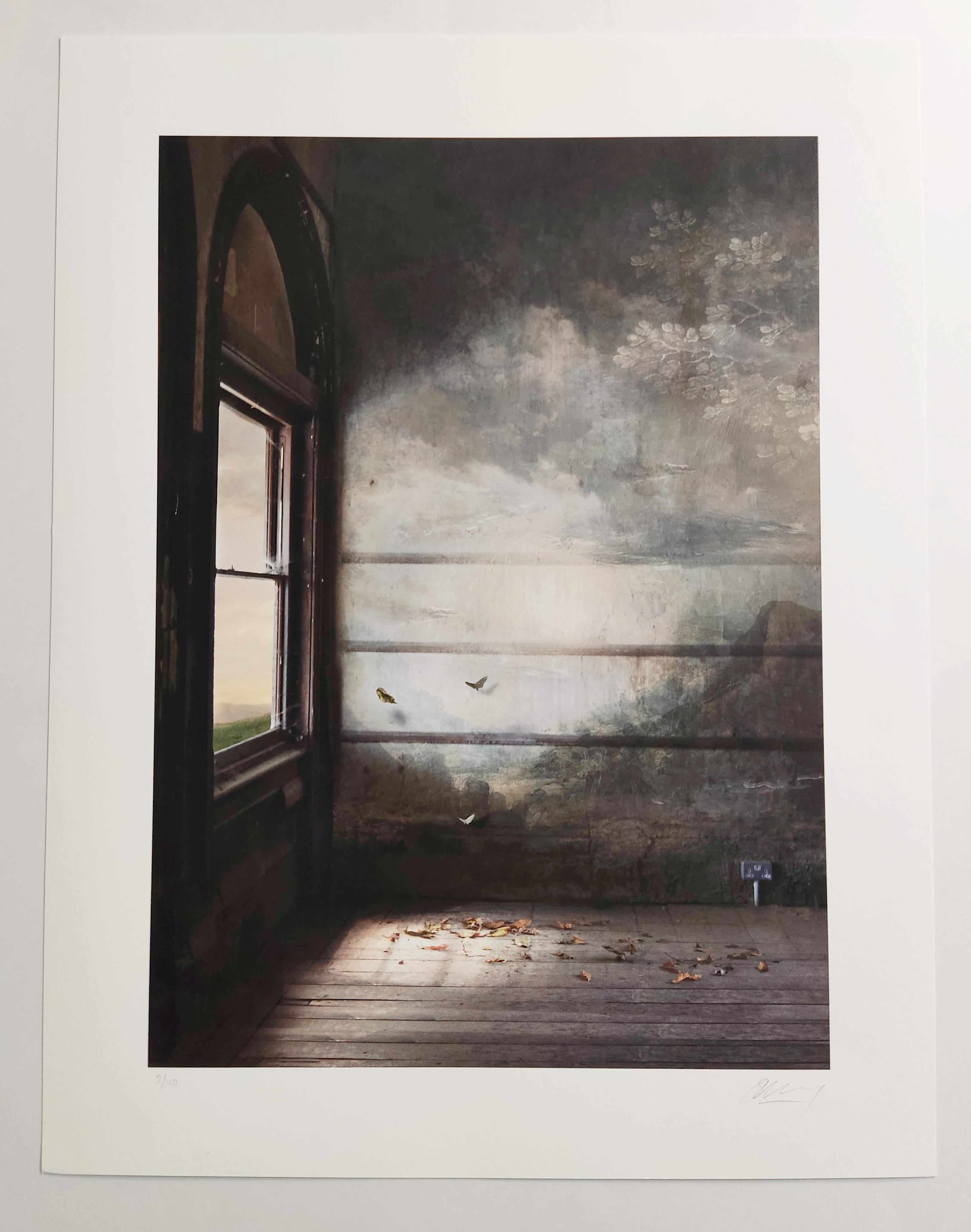 Sala d'attesa, Stampa a pigmenti d'archivio, Farfalla, Finestra, Spazio interno - Photograph di Suzanne Moxhay