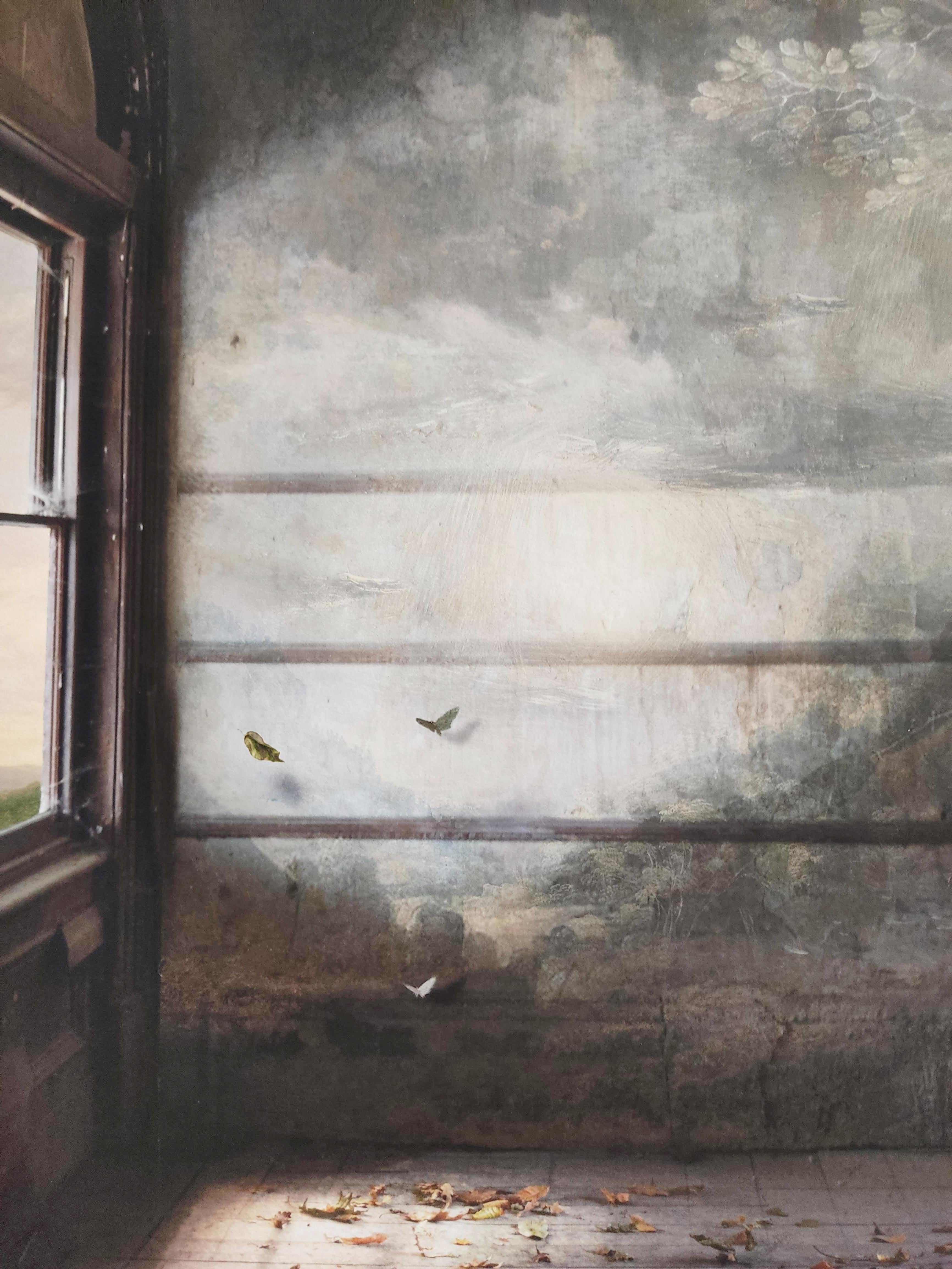 Sala d'attesa, Stampa a pigmenti d'archivio, Farfalla, Finestra, Spazio interno - Photograph Contemporaneo di Suzanne Moxhay