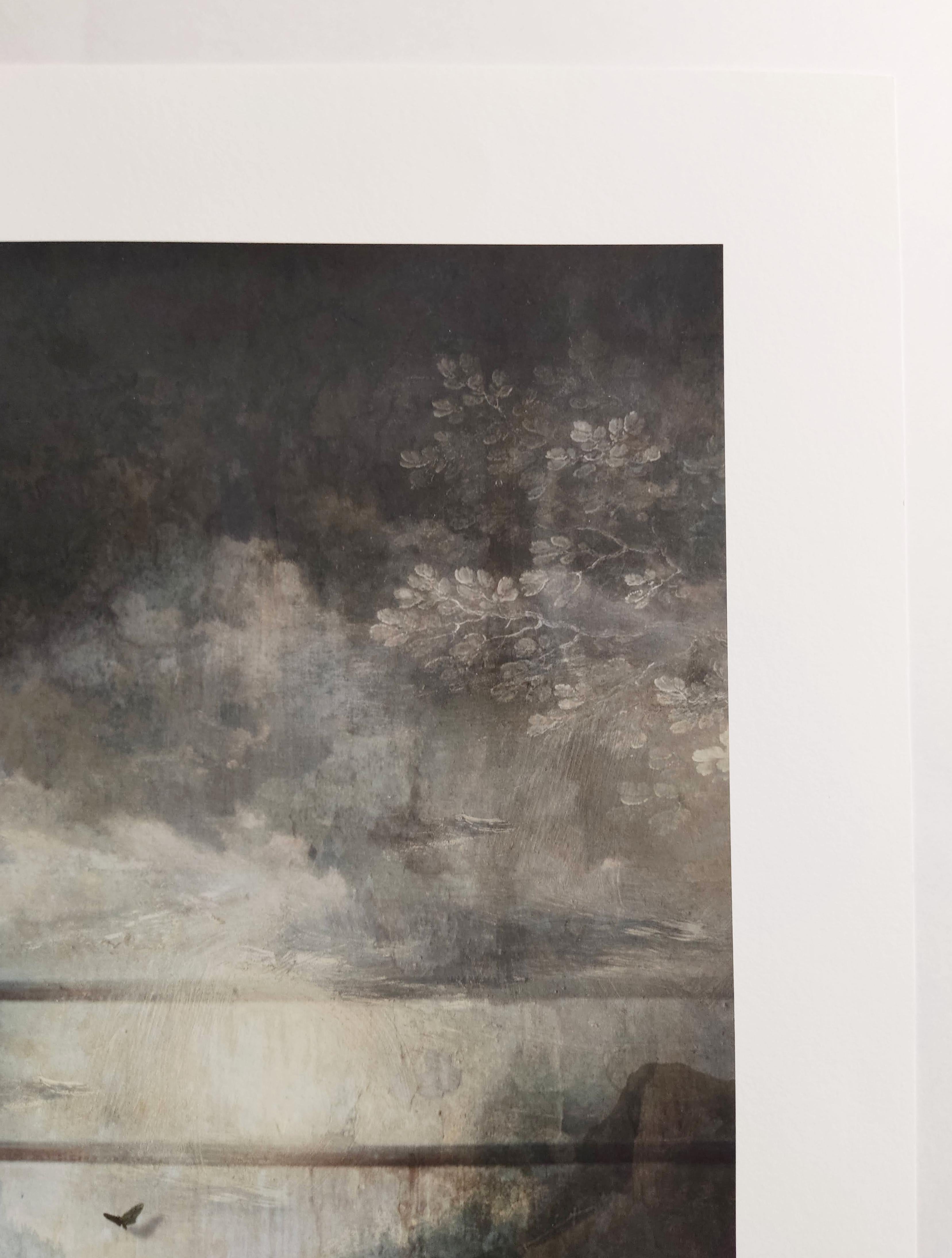 Sala d'attesa, Stampa a pigmenti d'archivio, Farfalla, Finestra, Spazio interno - Landscape Photograph Nero di Suzanne Moxhay