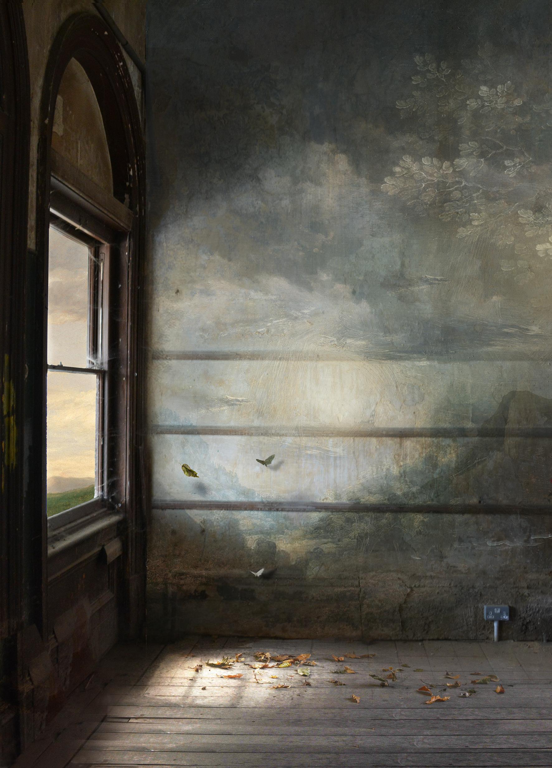Landscape Photograph di Suzanne Moxhay - Sala d'attesa, Stampa a pigmenti d'archivio, Farfalla, Finestra, Spazio interno