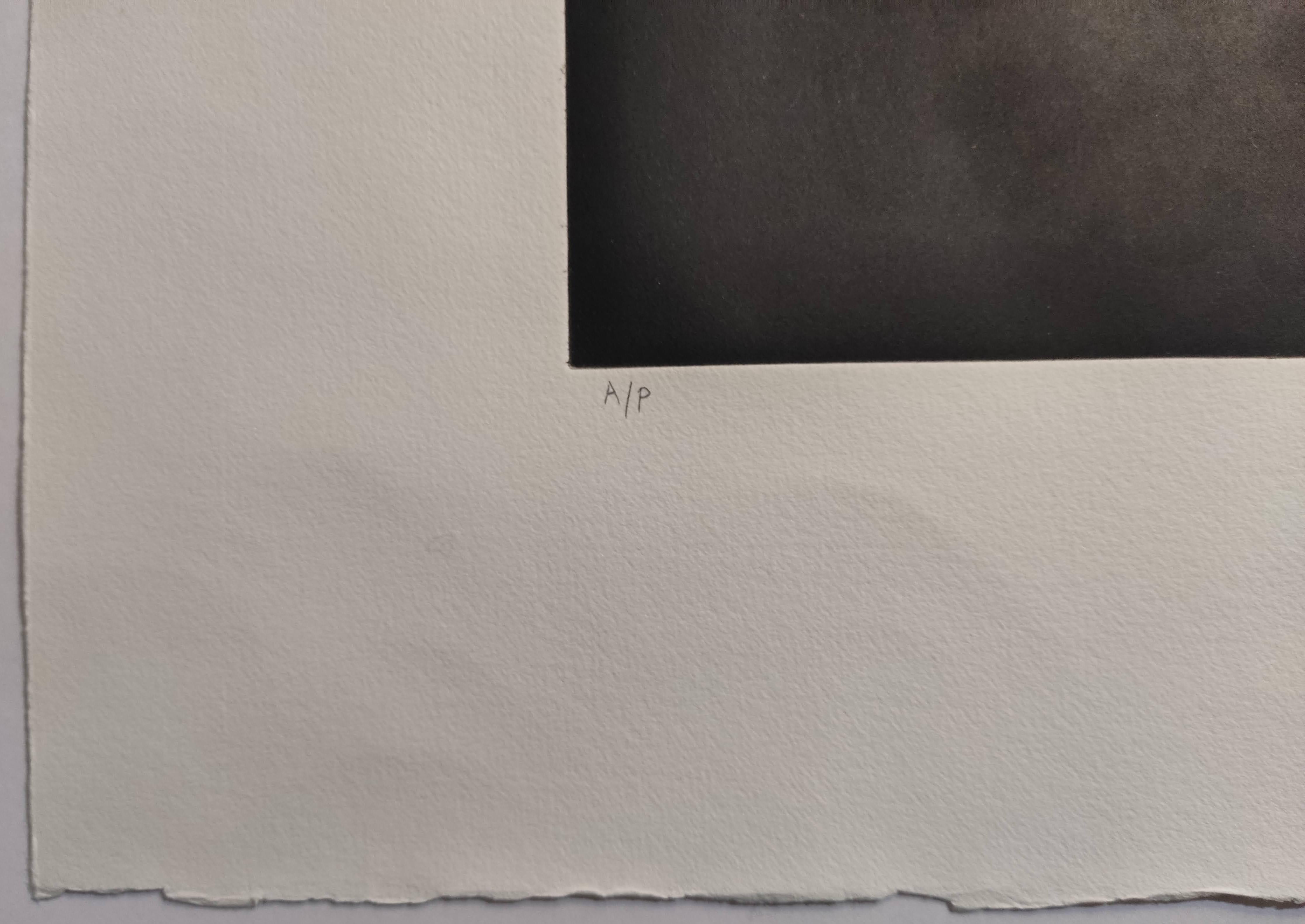 Trabajo :  Edición limitada original de 10 copias (Edición A/P). La obra no está enmarcada. El Marco sólo tiene fines ilustrativos. Las obras se enviarán cuidadosamente embaladas en plano en una caja de cartón resistente.

Técnica : Huecograbado