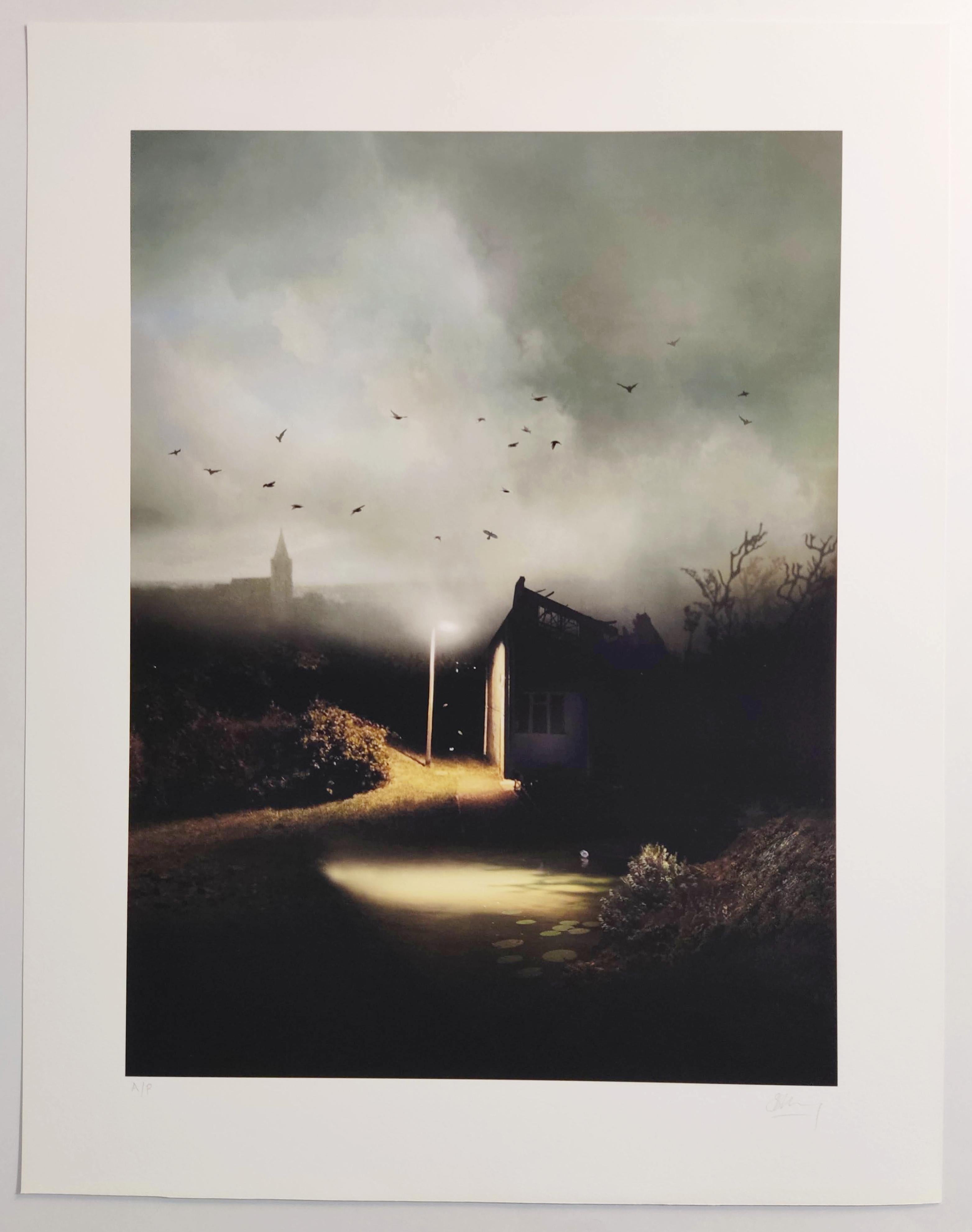 Congregation, Archivalischer Pigmentdruck, Schwarze Vögel, Nachtlandschaft – Photograph von Suzanne Moxhay