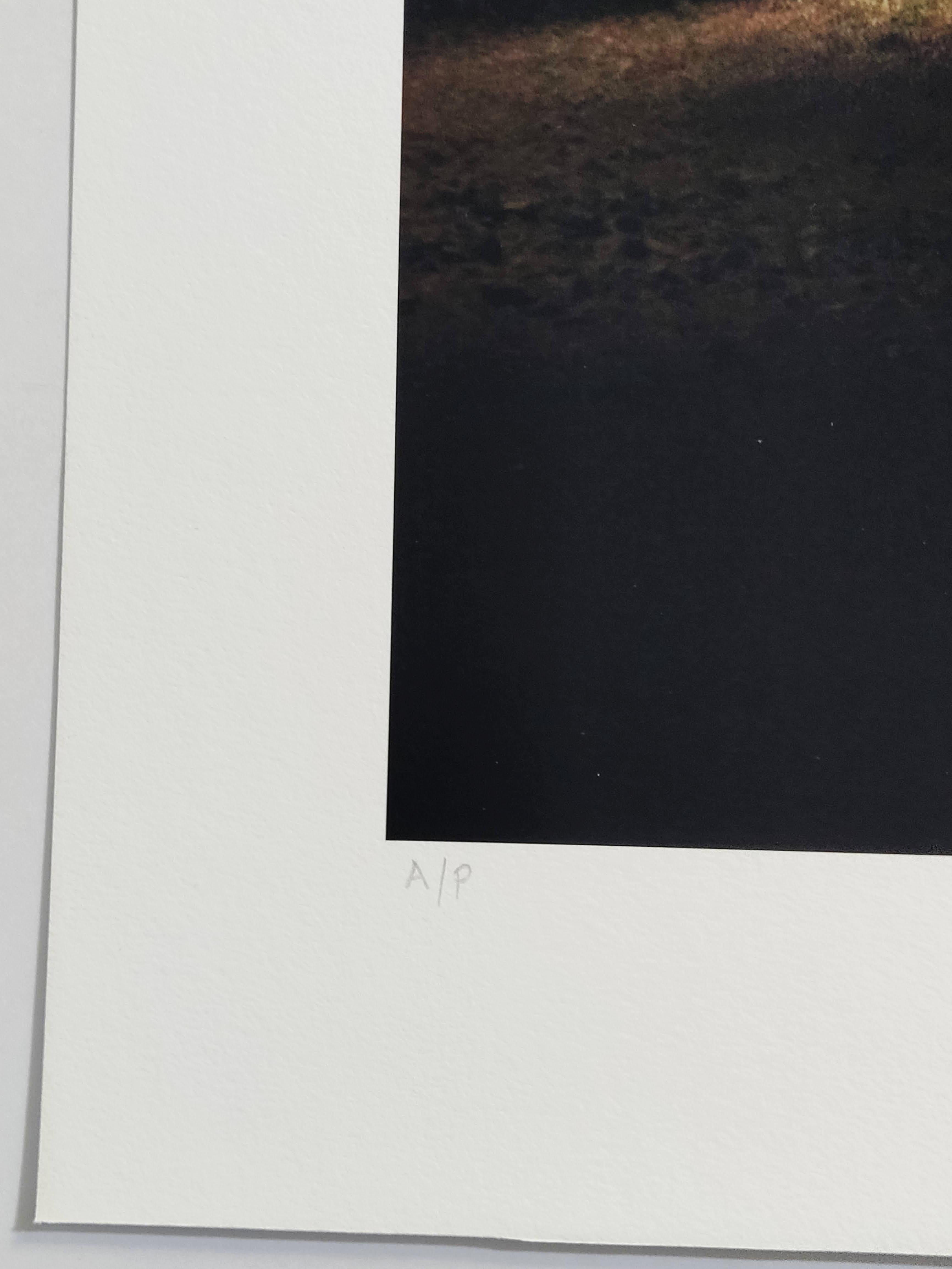 Werk : Artist Proof Ausgabe (A/P). Das Werk ist nicht gerahmt. Der Rahmen dient nur zu Illustrationszwecken. Die Kunstwerke werden sorgfältig versandt und flach in einem stabilen Karton verpackt.

Medium : Pigmenttintendruck auf feinstem