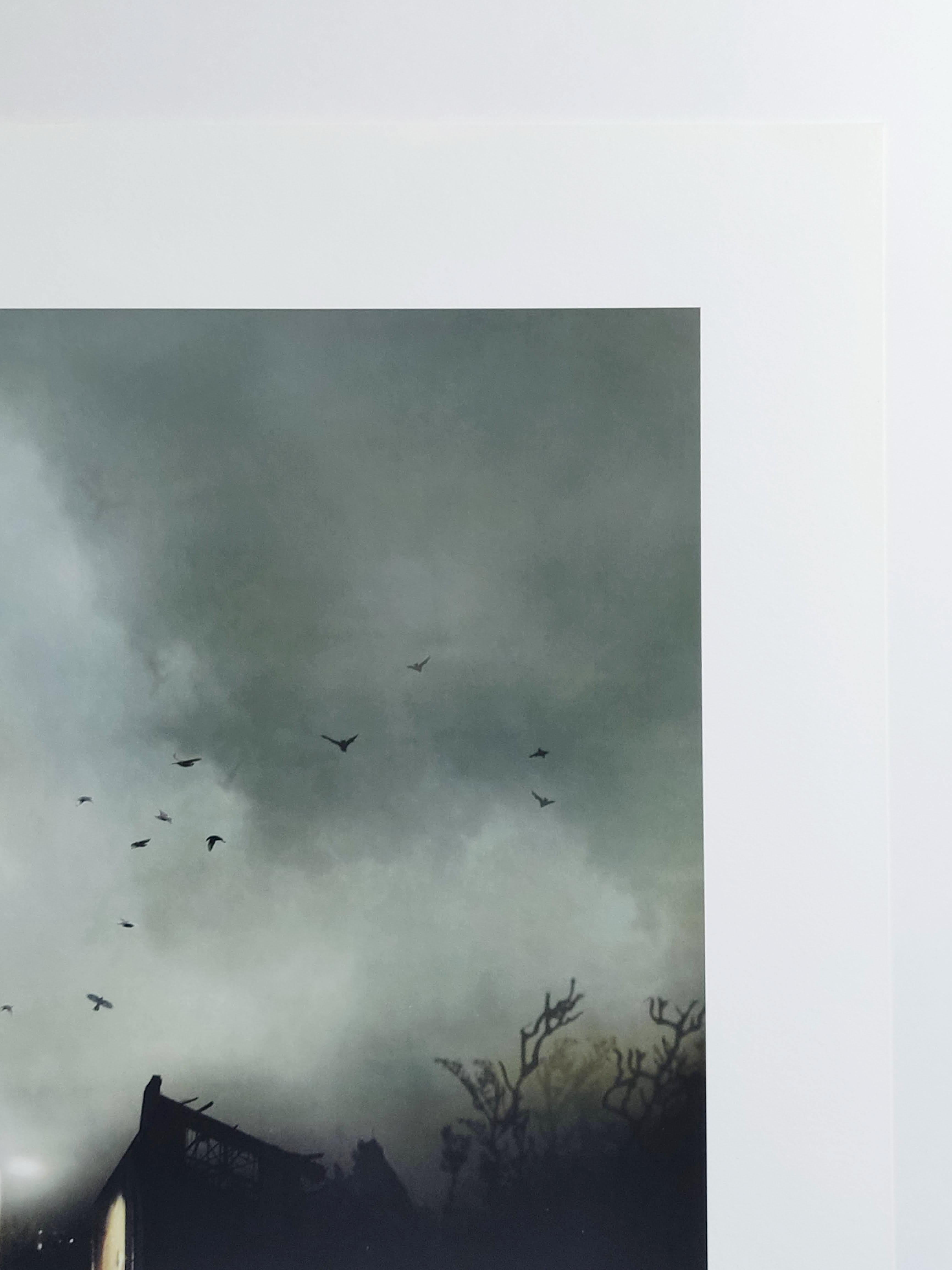 Congregation, Archivalischer Pigmentdruck, Schwarze Vögel, Nachtlandschaft im Angebot 1