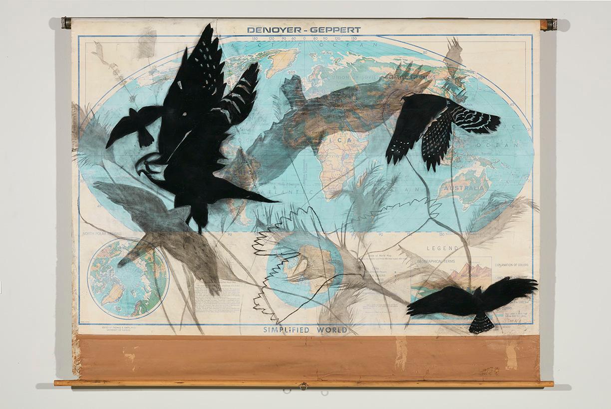 Simplified World / Aplomada Falcon and Grasses - Mixed Media Art by Suzi Davidoff
