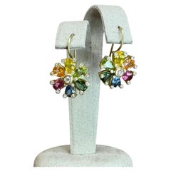 Suzy Landa Drop Earrings