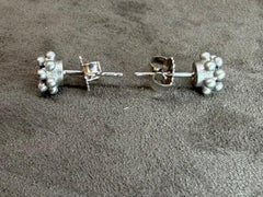 Suzy Landa Firecracker Earrings