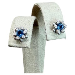 Suzy Landa Firecracker Earrings