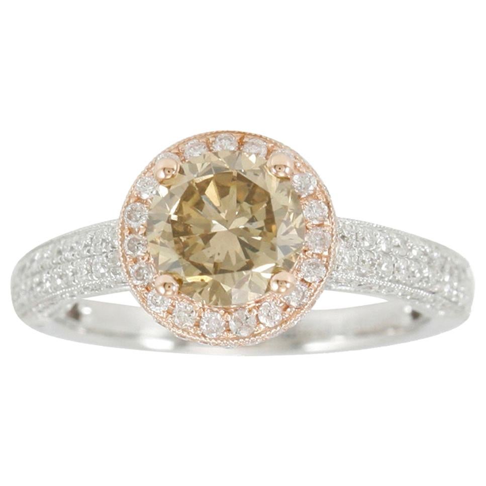 Suzy Levian 14 Karat Two-Tone White or Rose Gold and Brown Diamond Halo Ring