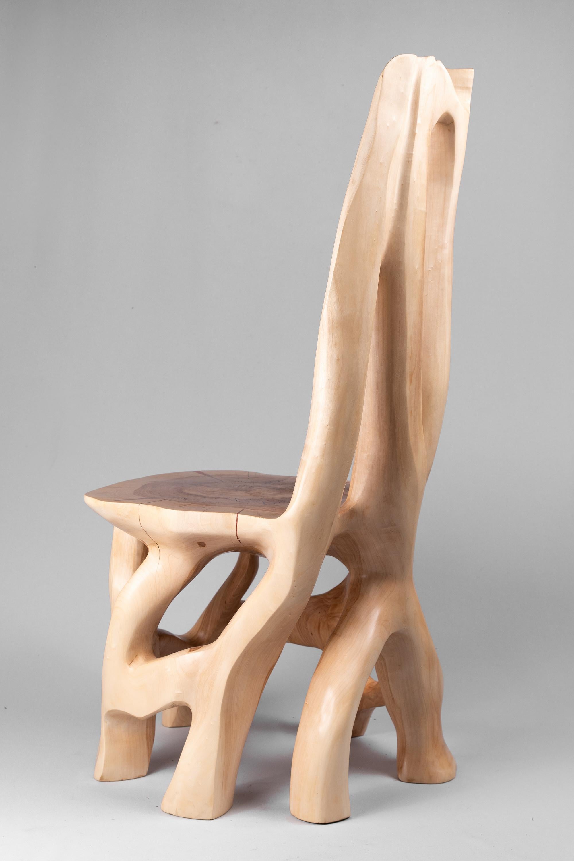 Svarun, Chaise en bois massif, sculptée dans une seule pièce de Wood, Logniture Neuf - En vente à Stara Gradiška, HR