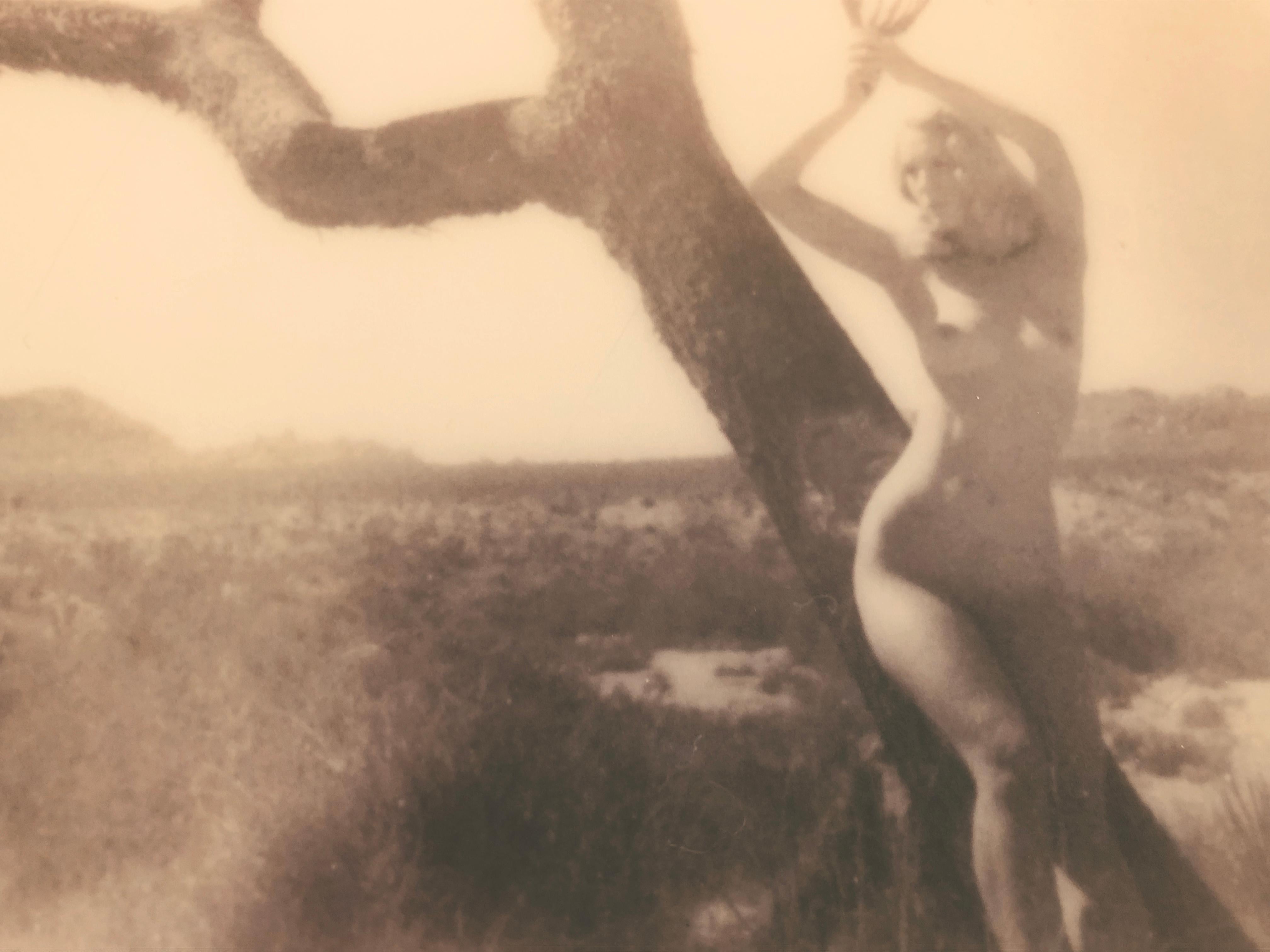 Joshua's Muse II from the series Joshua Tales - 21st Century, Polaroid, Nude - Photograph by Sven van Driessche
