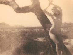 Joshua's Muse II from the series Joshua Tales - 21st Century, Polaroid, Nude
