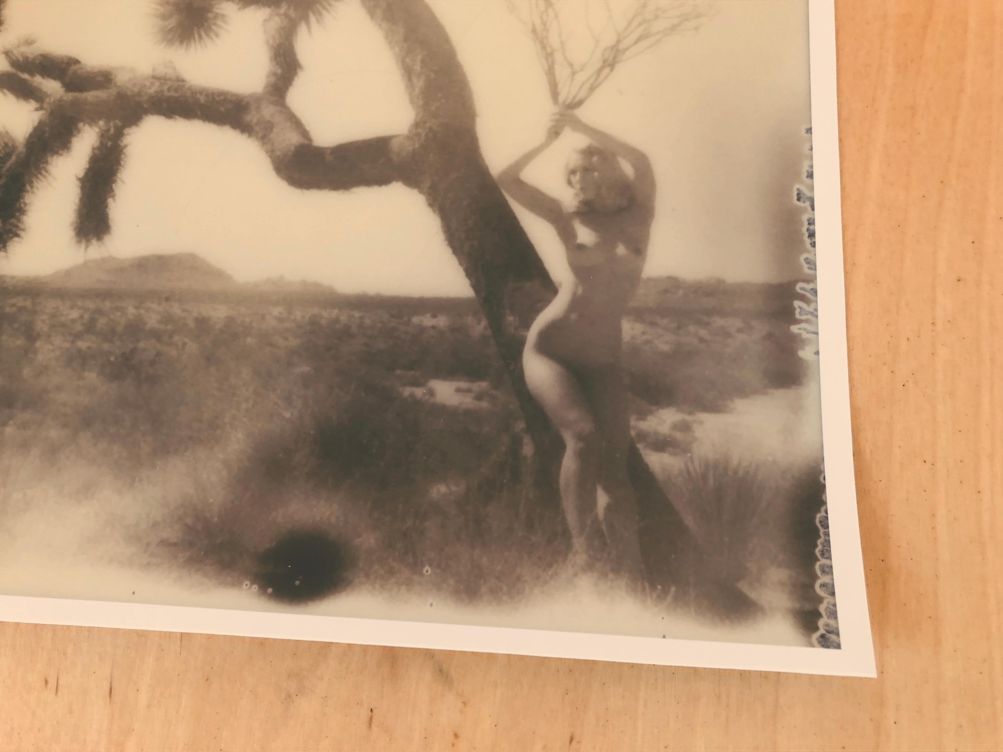 Joshua's Muse II from the series Joshua Tales - 21st Century, Polaroid, Nude For Sale 1