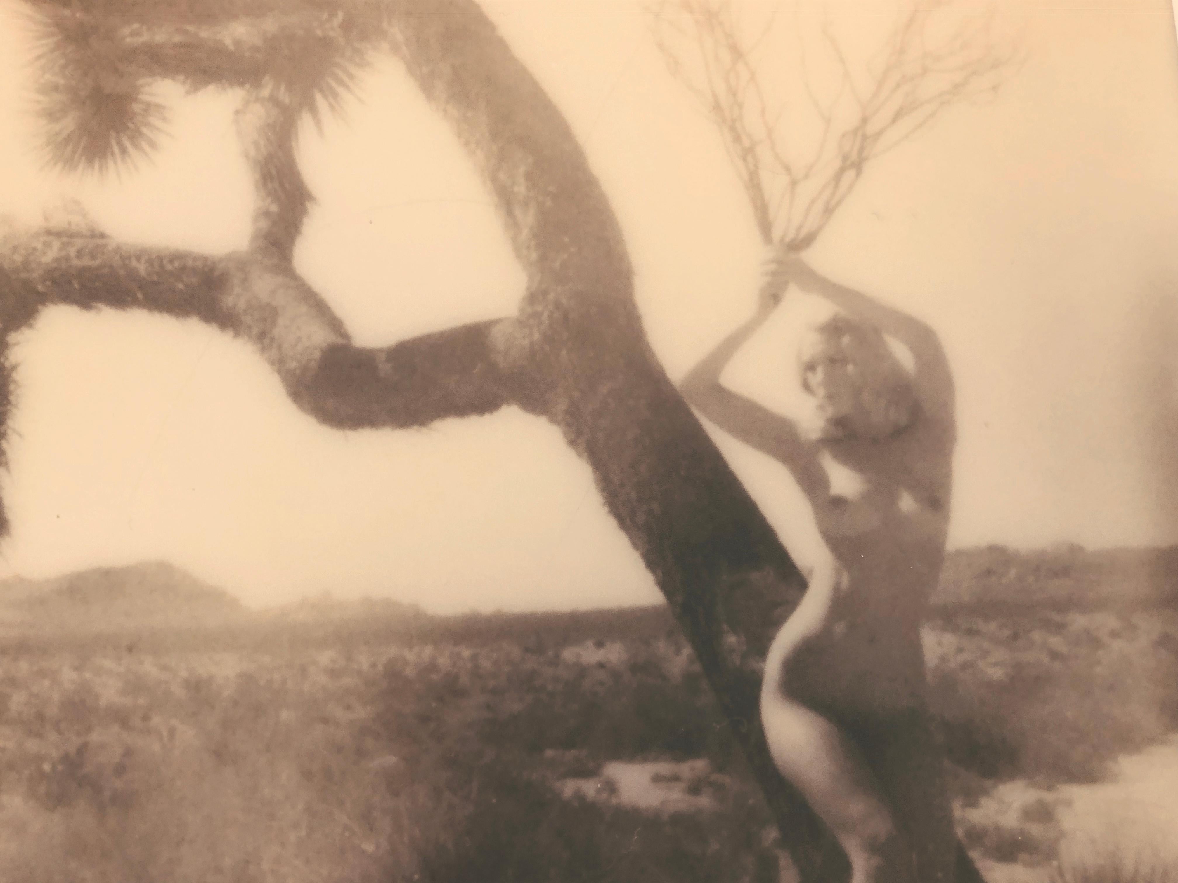 Joshua's Muse II from the series Joshua Tales - 21st Century, Polaroid, Nude For Sale 4