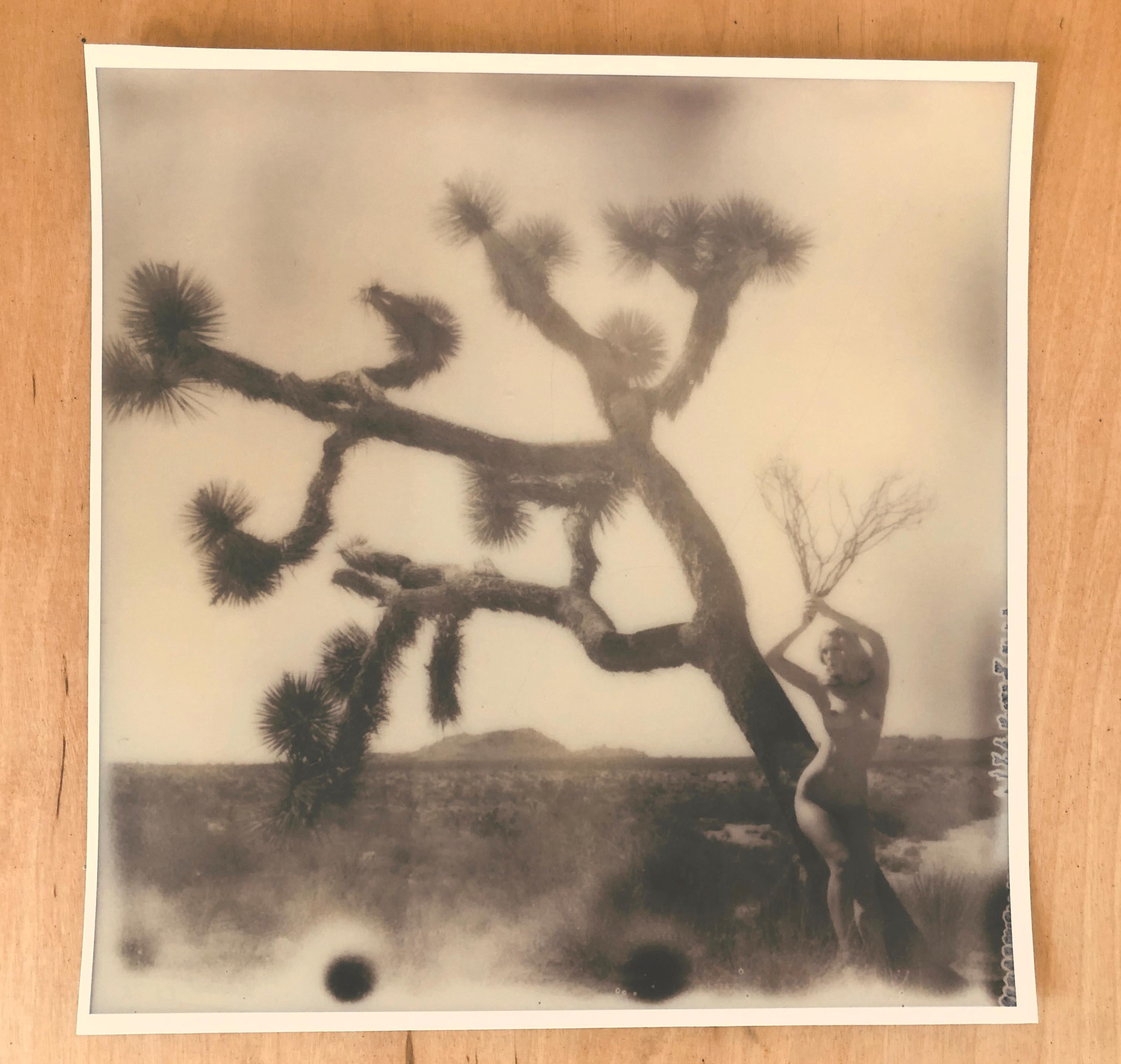 Sven van Driessche Landscape Photograph - Joshua's Muse II from the series Joshua Tales - 21st Century, Polaroid, Nude