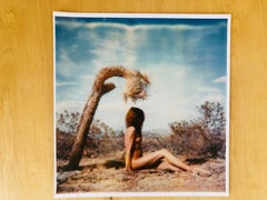 Joshua's Sculpture from the series Joshua Tales, based on an Original Polaroid