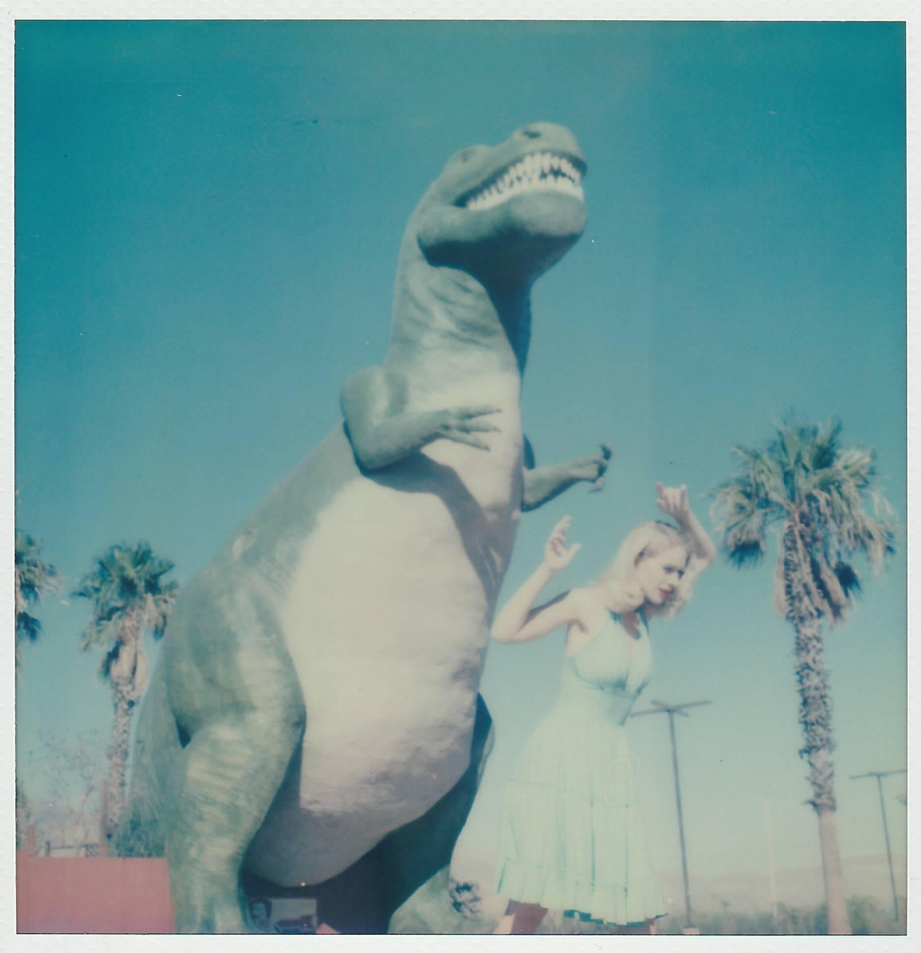 Landscape Photograph Sven van Driessche - Jurassic Park, Contemporary, 21st Century, Polaroid, Figurative Photography