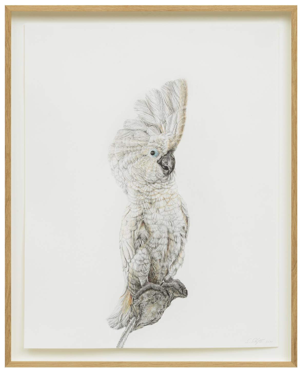 L'oiseau de Schrödinger 15
