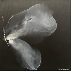 IL SILENZIO DEL VOLO