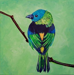 Un pajarito sobre un fondo de lechuga.