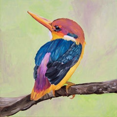 Oiseau brillant