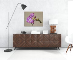 Burgunderblüte, Freesie