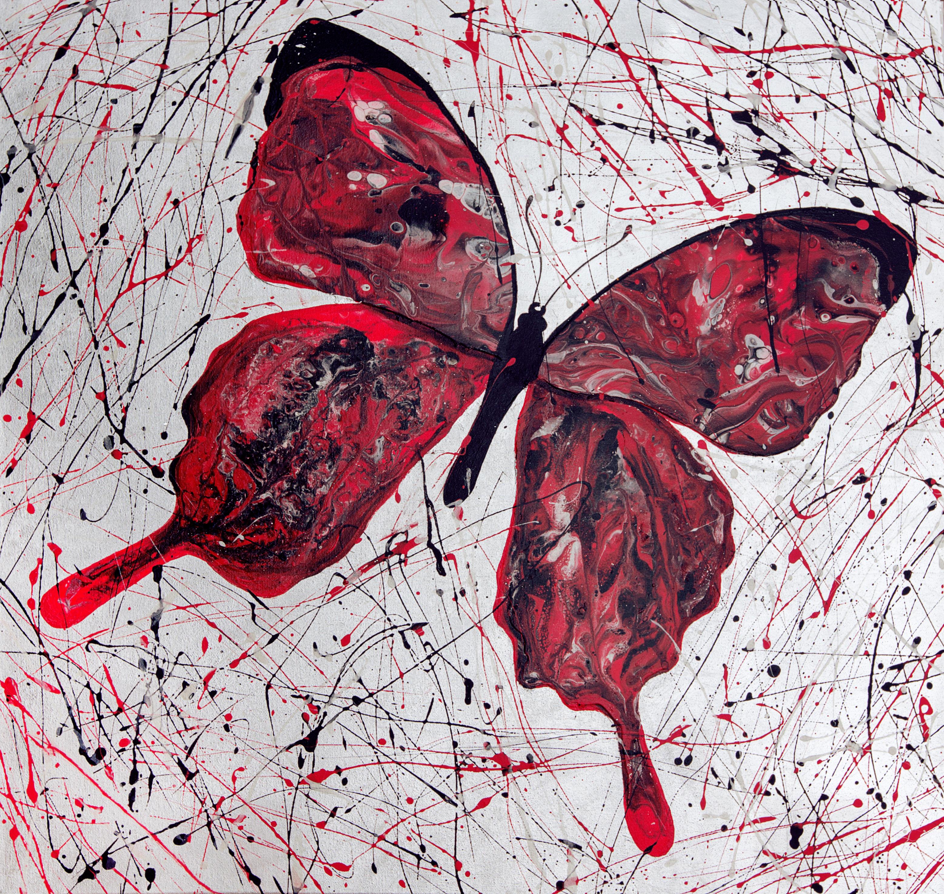 Papillon Carmen.