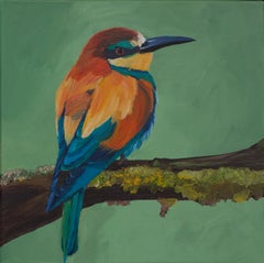 Pájaro de color