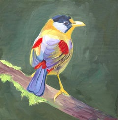 Uccello colorato su sfondo verde scuro.