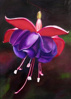 Fuchsia flower