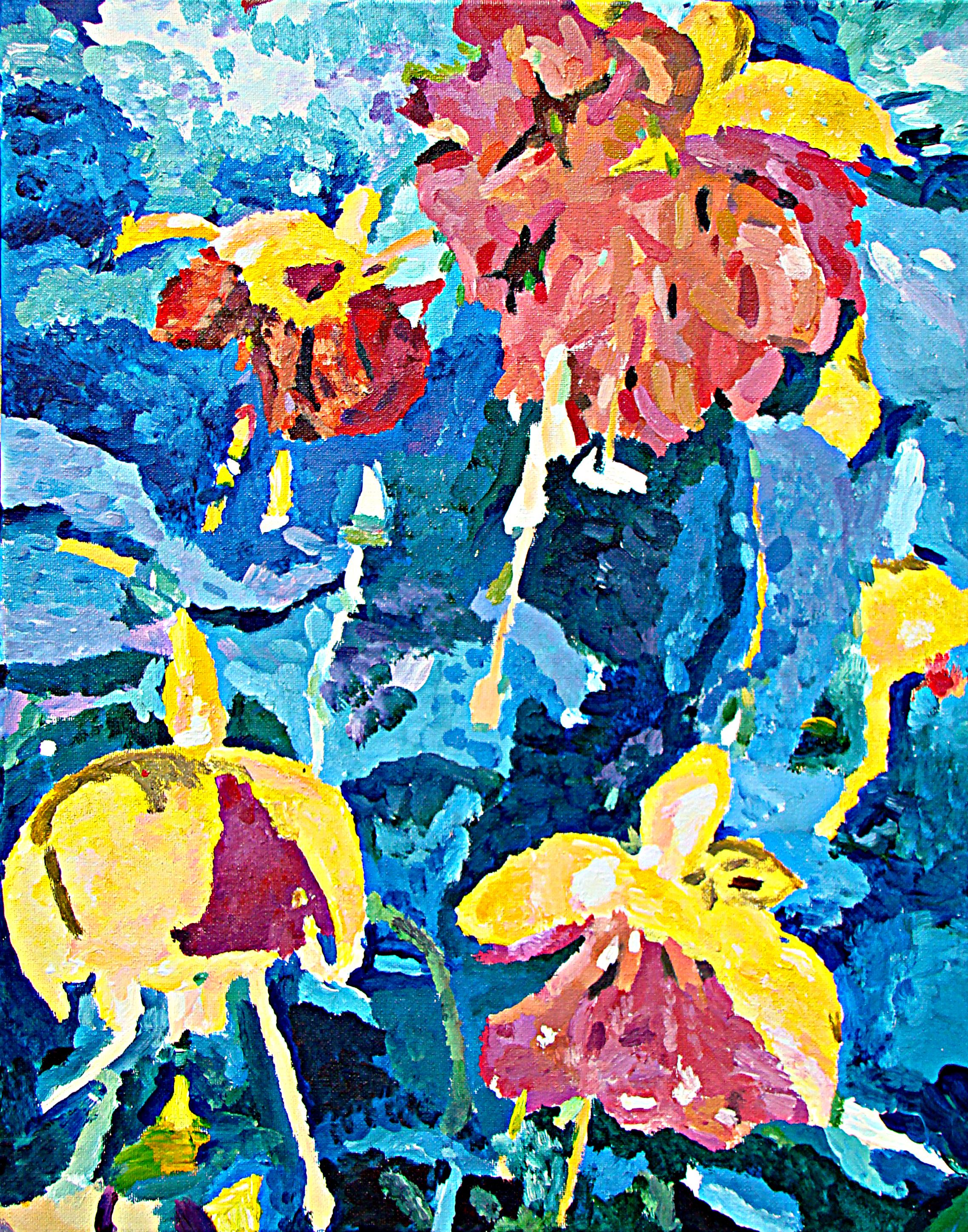 Fuchsia Flowers For Sale 2