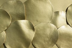 Cerchi d'oro