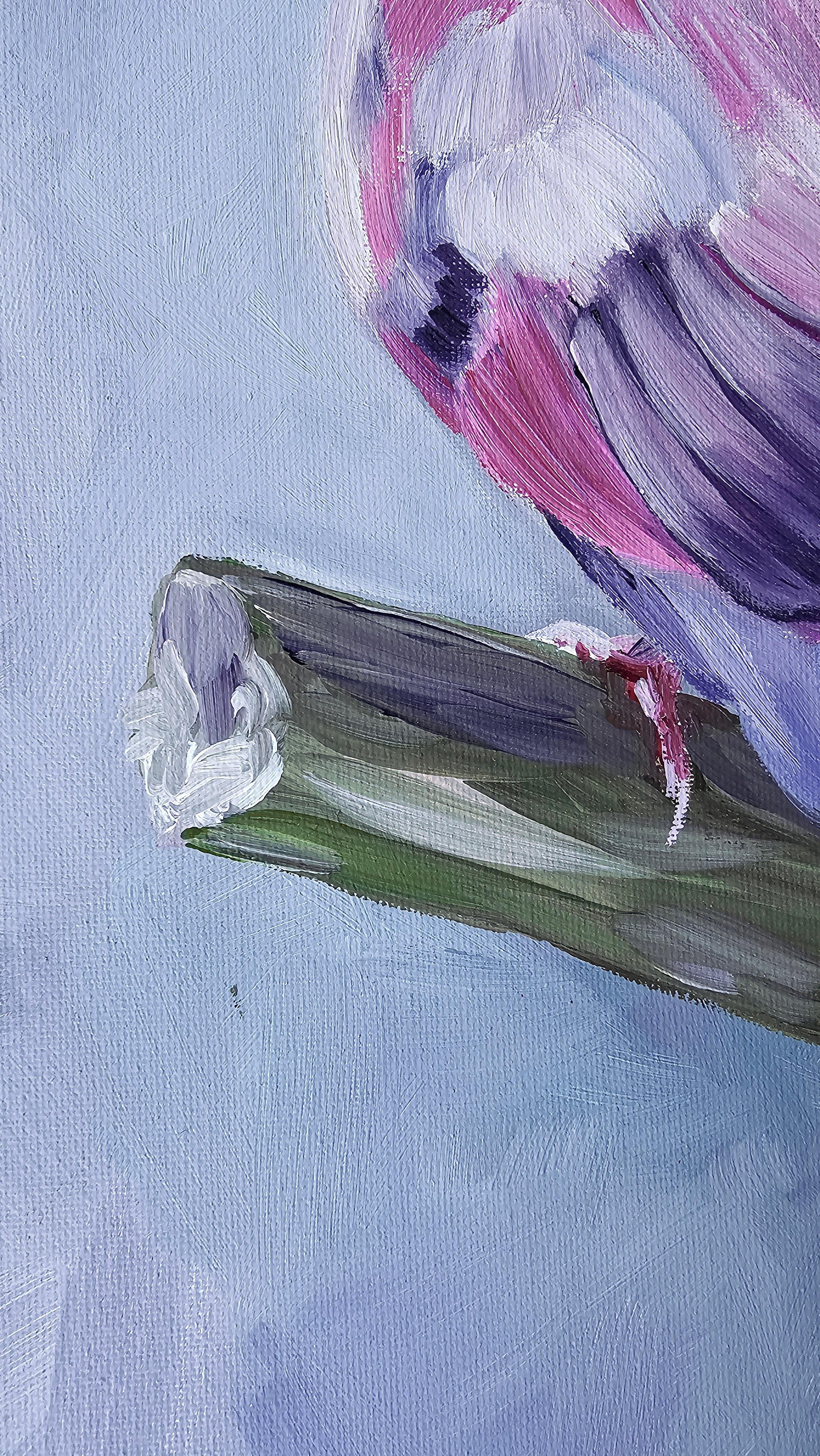 En un lienzo de 40×40 cm, pintado con acrílicos, se representa un gracioso pájaro. Se trata de una hembra de cardenal boreal, con el plumaje representado en ricos y artísticos tonos rosa, morado y lila. El artista ha elegido un estilo pictórico
