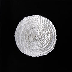 White flower on a black background.