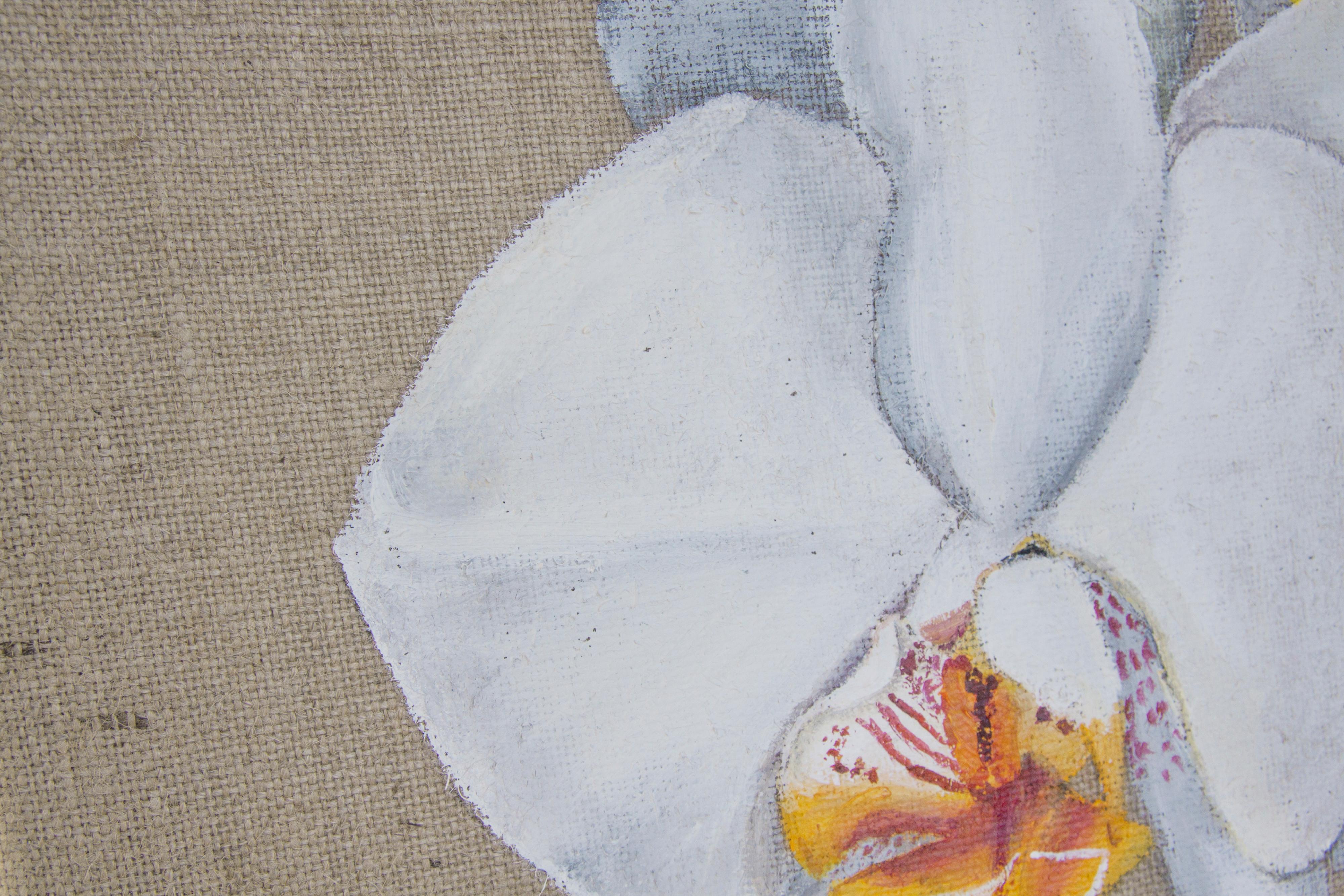 Orchidea bianca - Painting di Svetlana Saratova