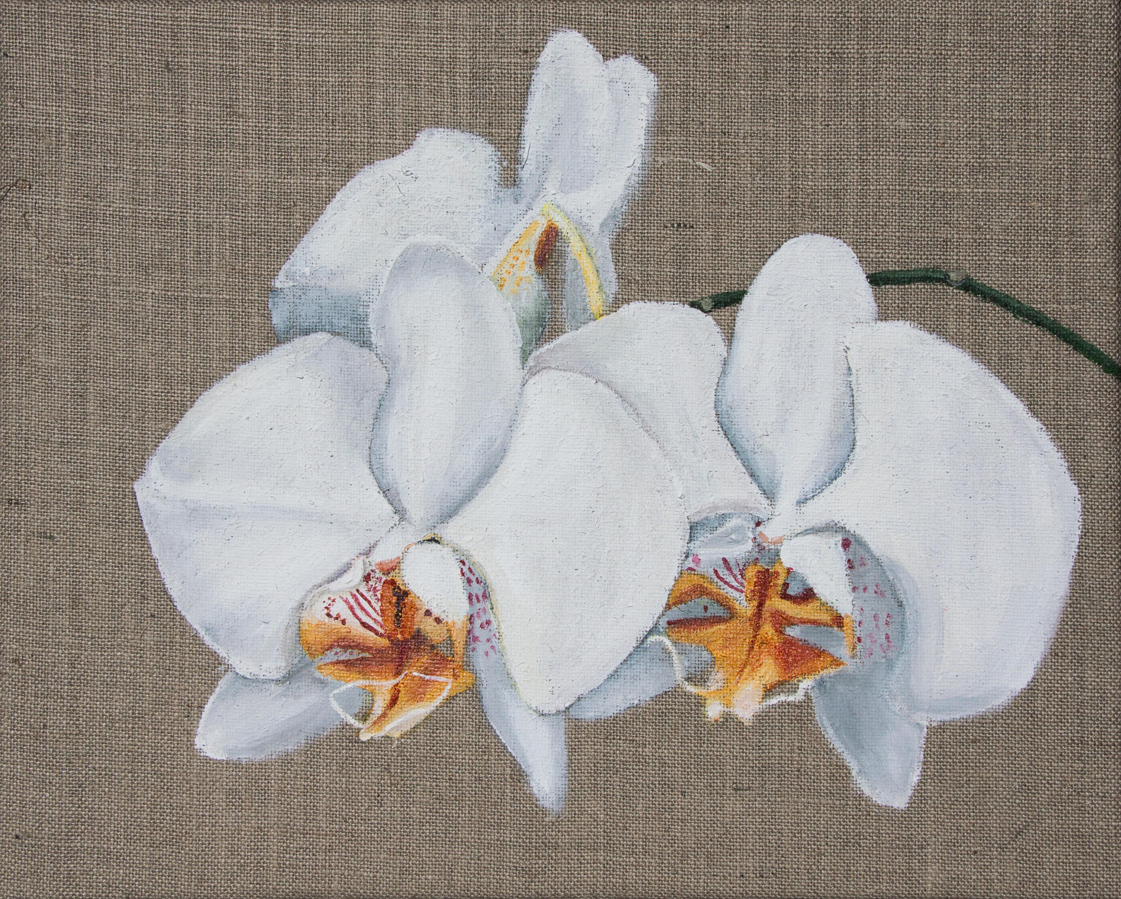 Interior Painting di Svetlana Saratova - Orchidea bianca