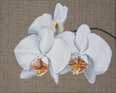 Weiße Orchidee