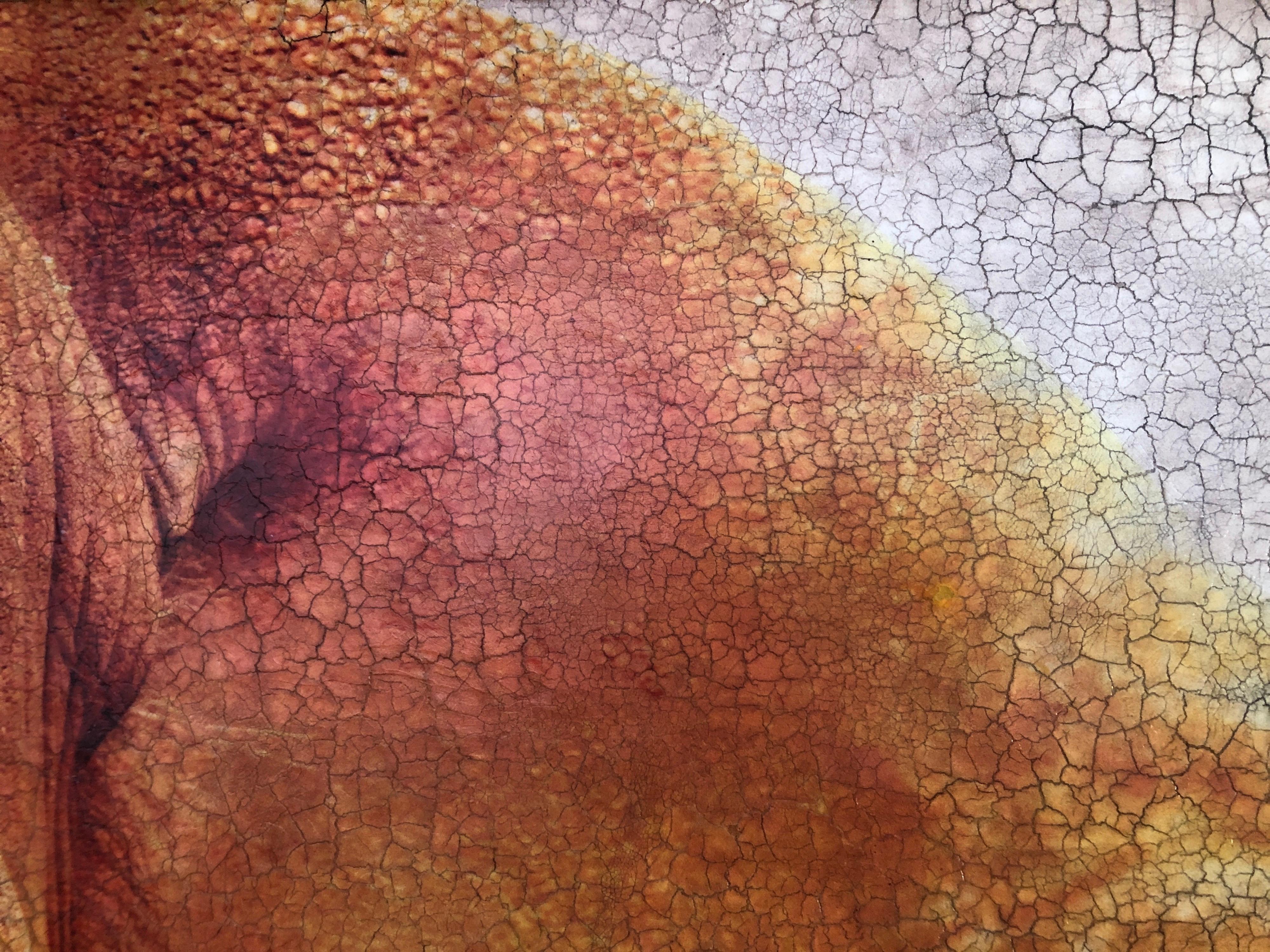 Large Elephant Portrait Burnt Orange Texture Hyperrealistic Mixed Media 71