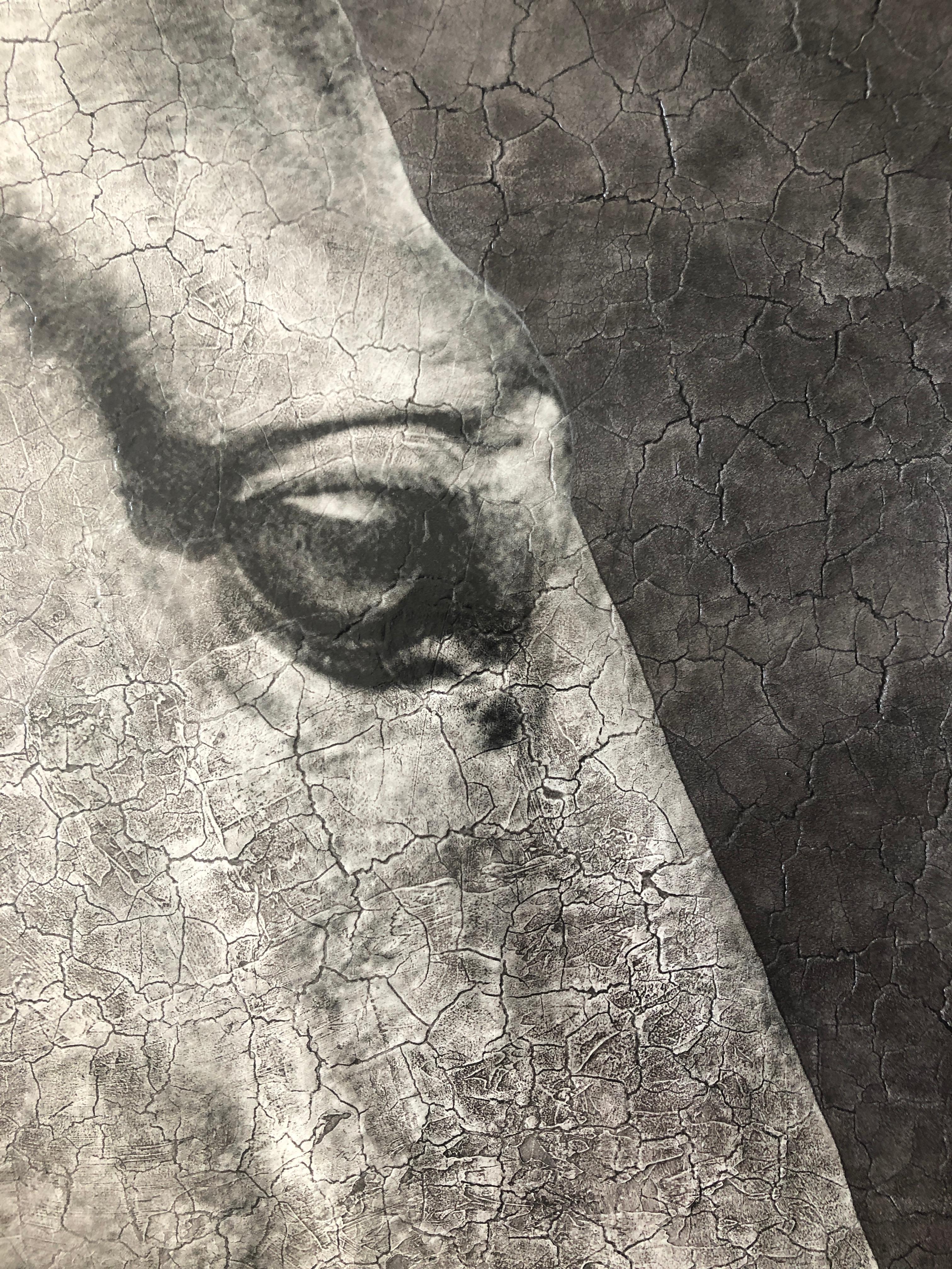Horse Portrait Black Gray Large Oversized Textured Monochrome Animal Art 72x72 1