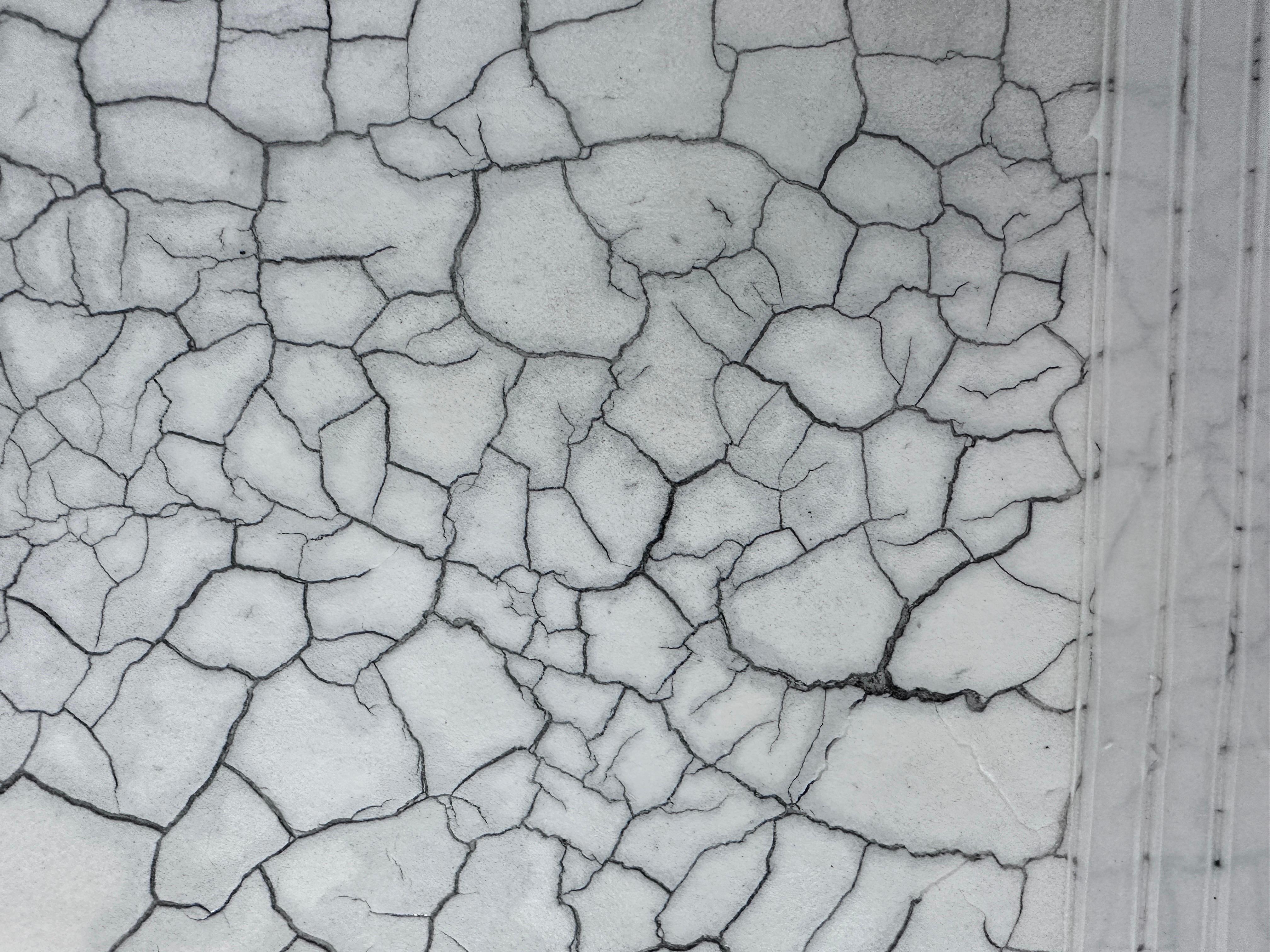 Contemporary Abstract Texture Black and White Painting For Sale 3