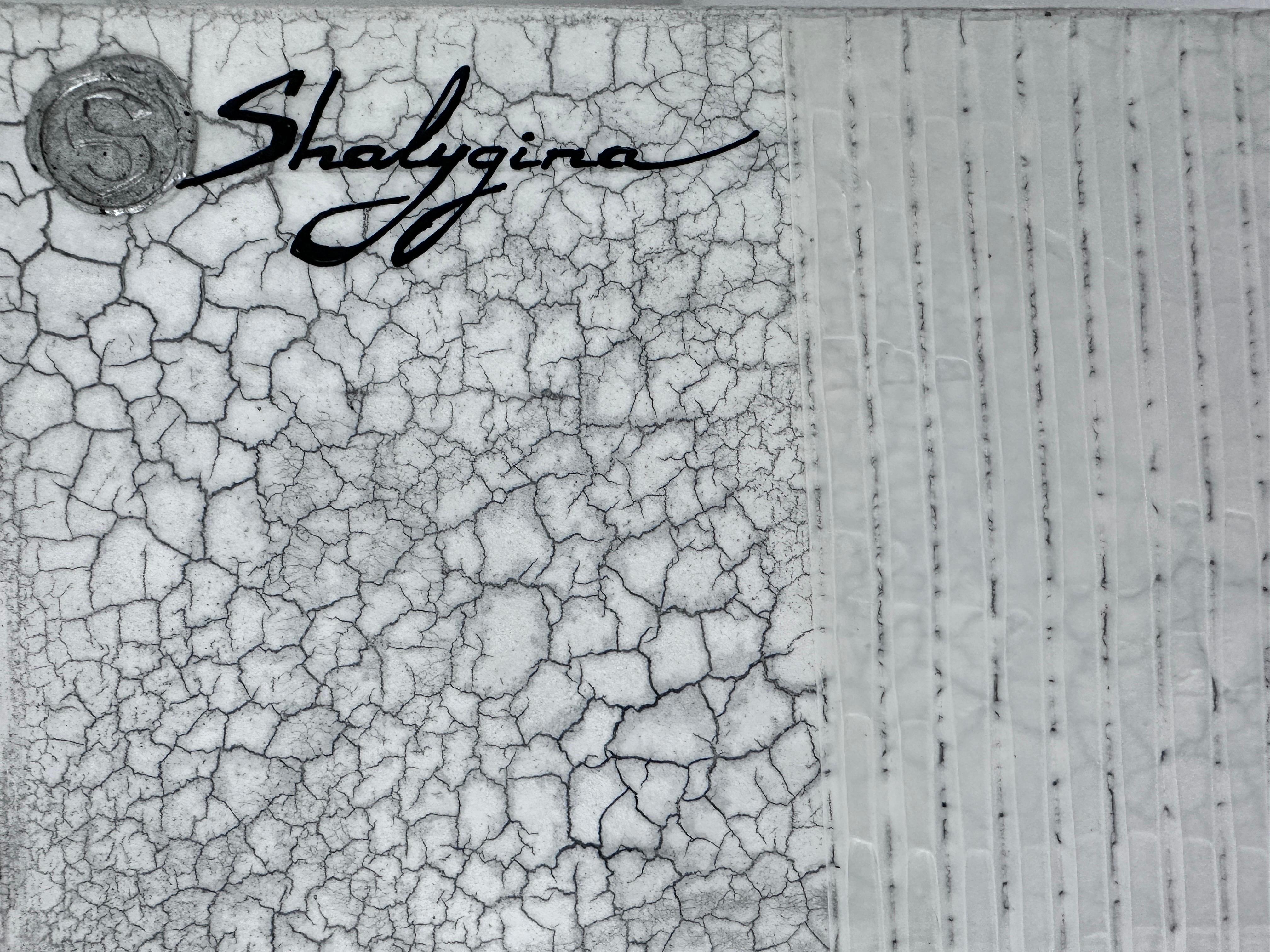 Contemporary Abstract Texture Black and White Painting For Sale 4